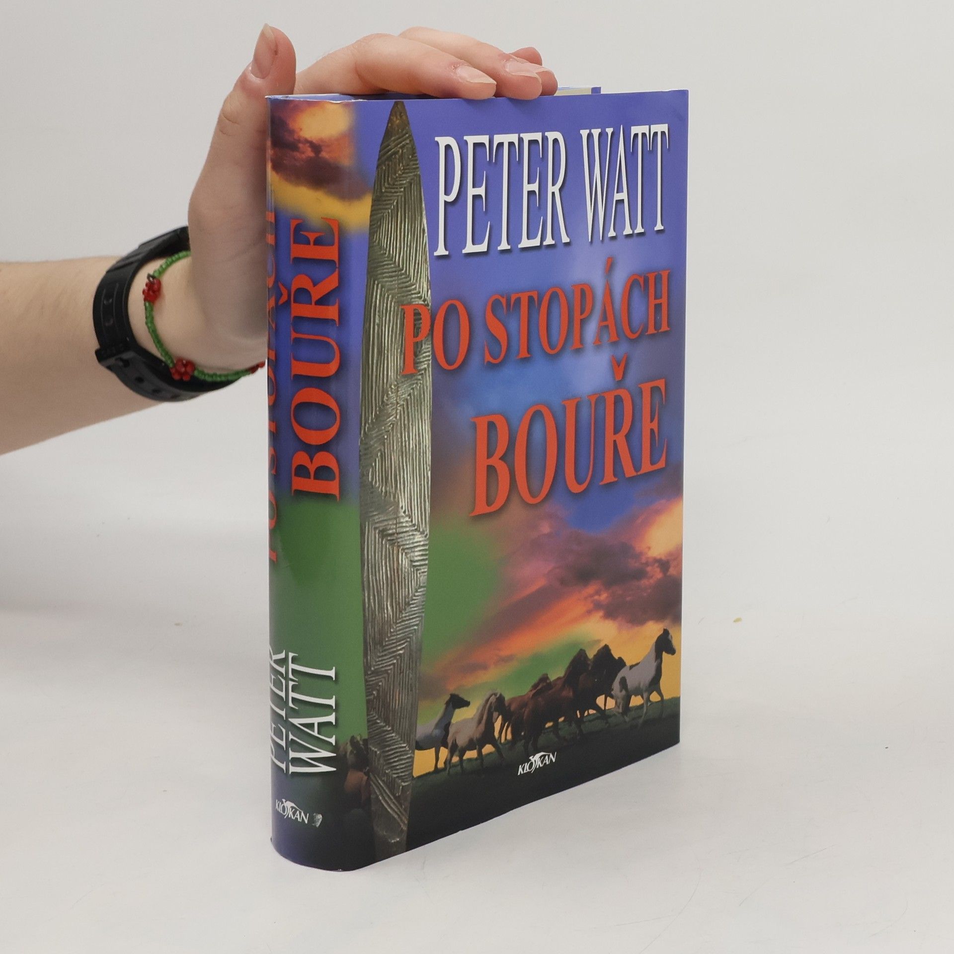 Peter Watt Po stopách bouře