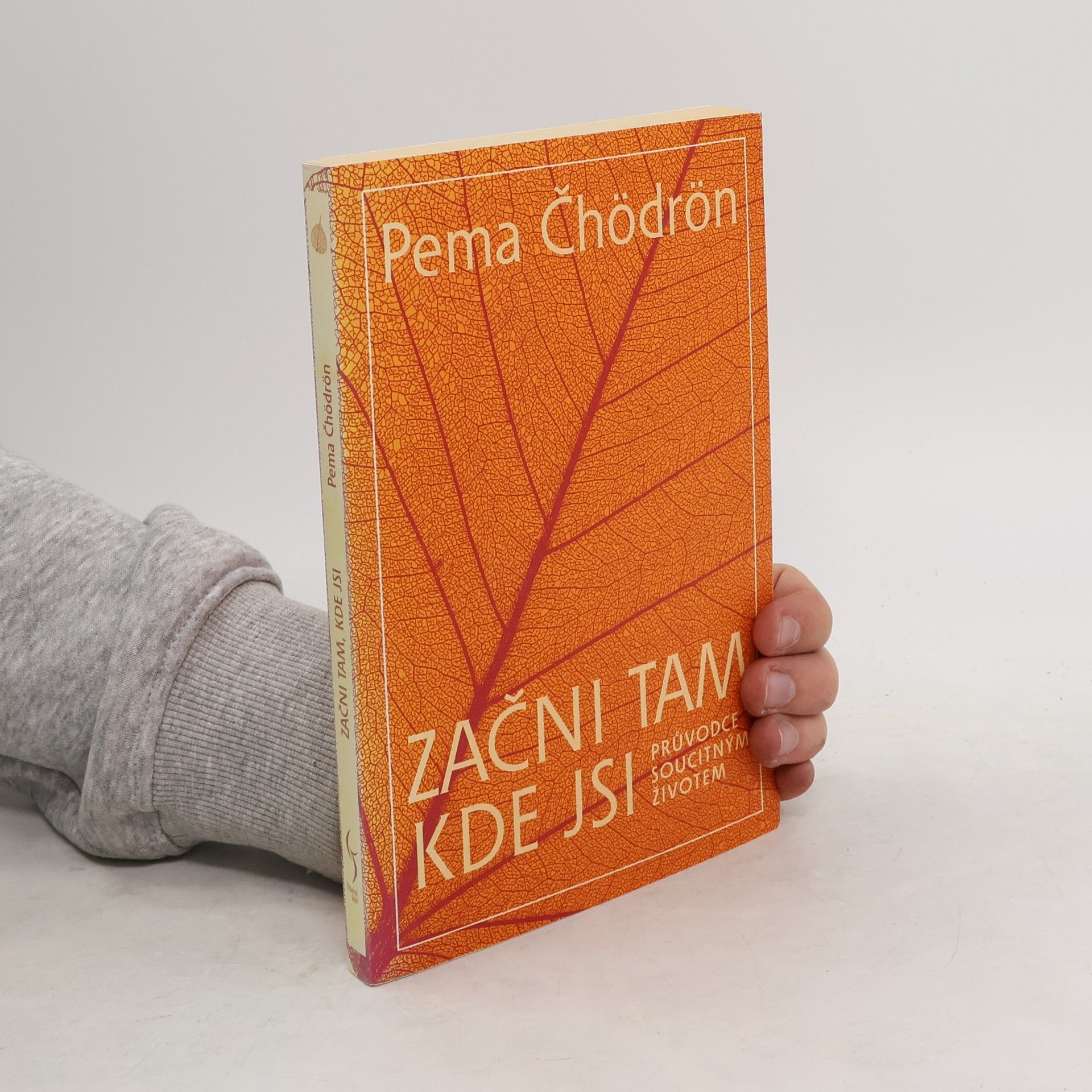 Pema Čhödrön Začni tam, kde jsi: Průvodce soucitným životem