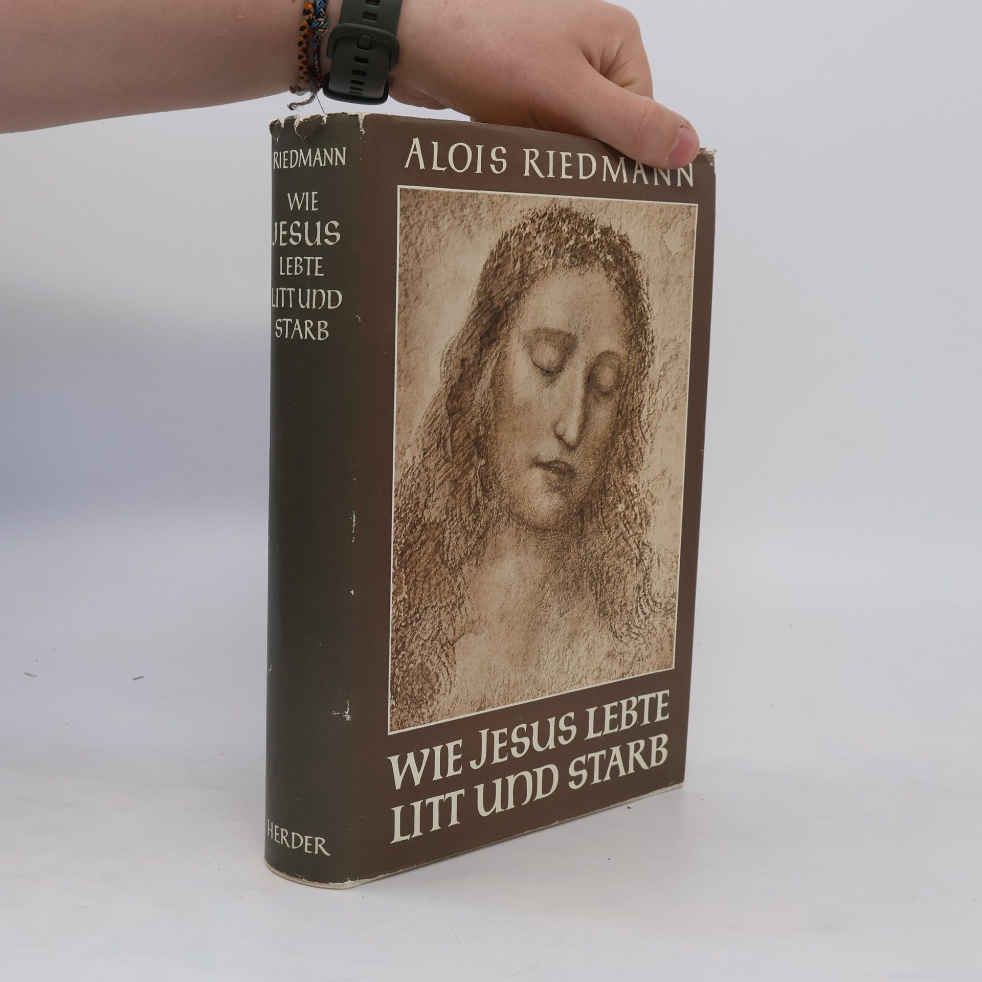 Wie Jesus lebte, litt und starb