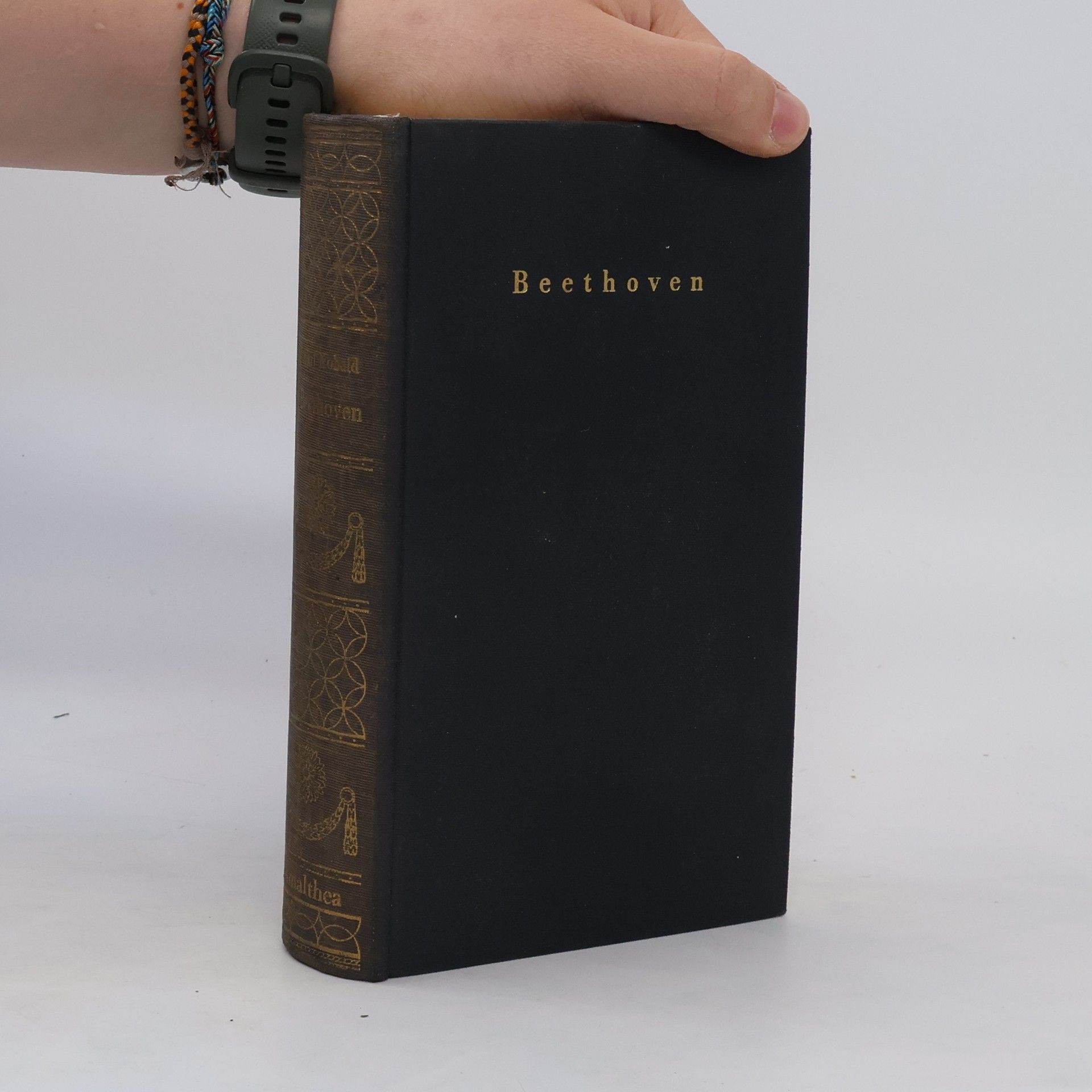 kolektiv Beethoven