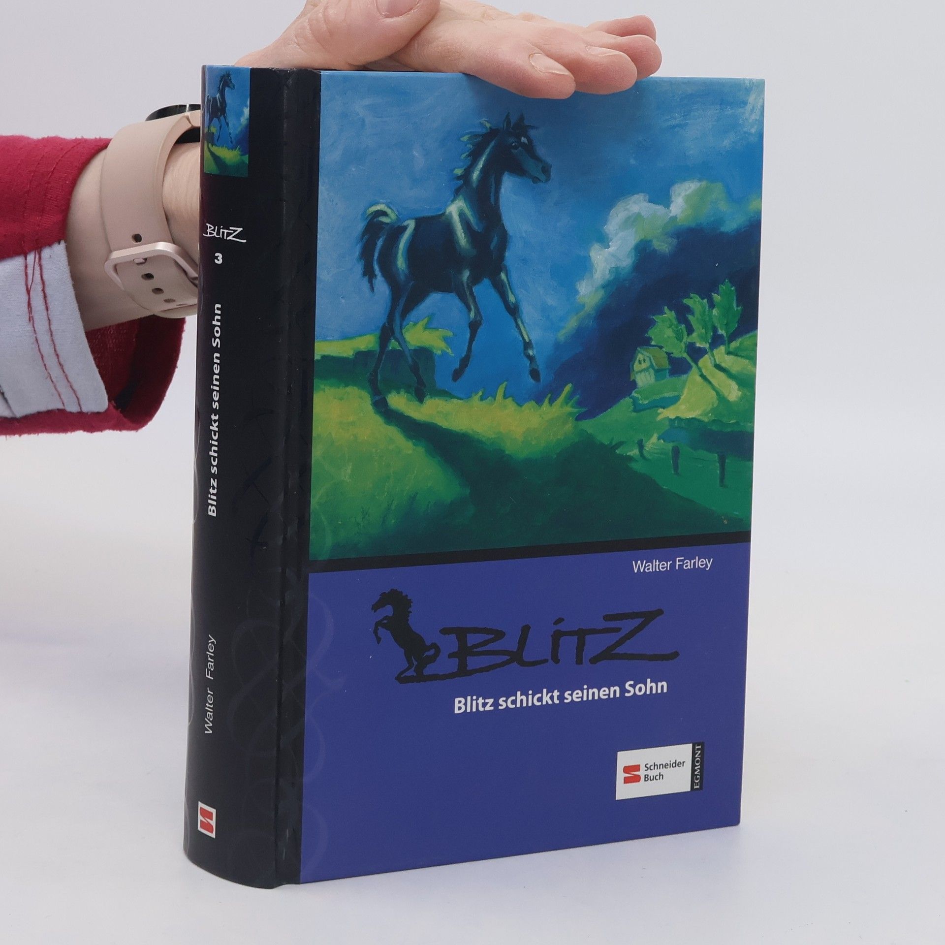 Walter Farley Blitz schickt seinen Sohn. Band 3
