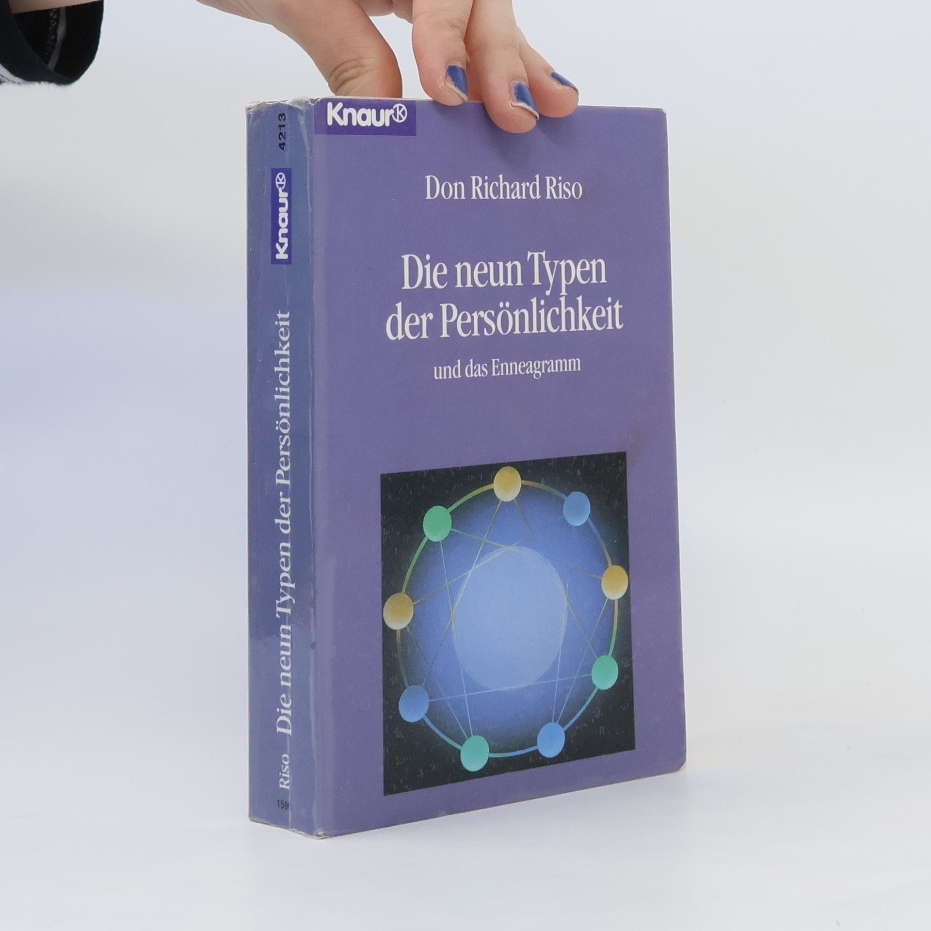 Don Richard Riso Die neun Typen der Persönlichkeit und das Enneagramm
