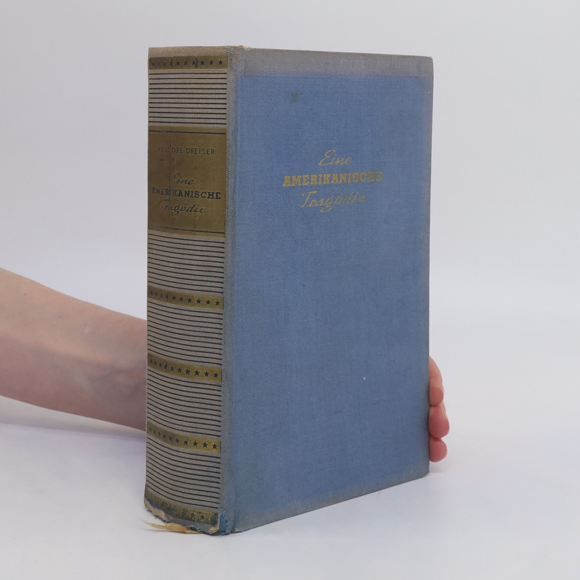 Theodore Dreiser Eine Amerikanische Tragödie