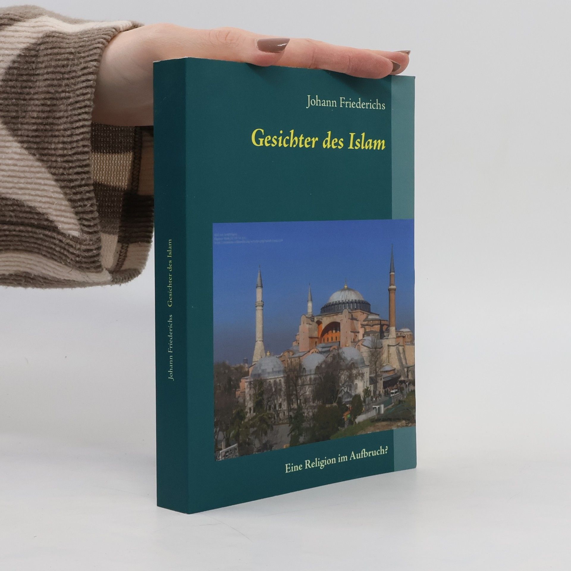 Johann Friederichs Gesichter des Islam