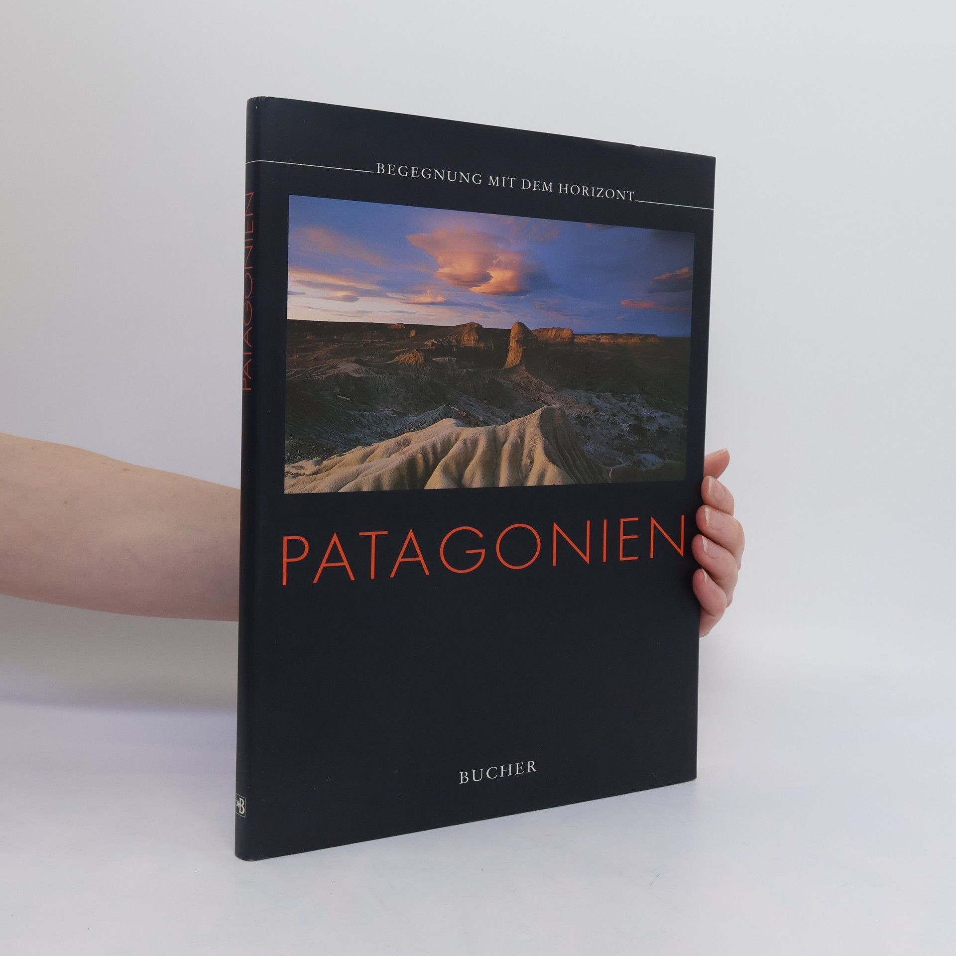 kolektiv Patagonien. Begegnung mit Dem Horizont