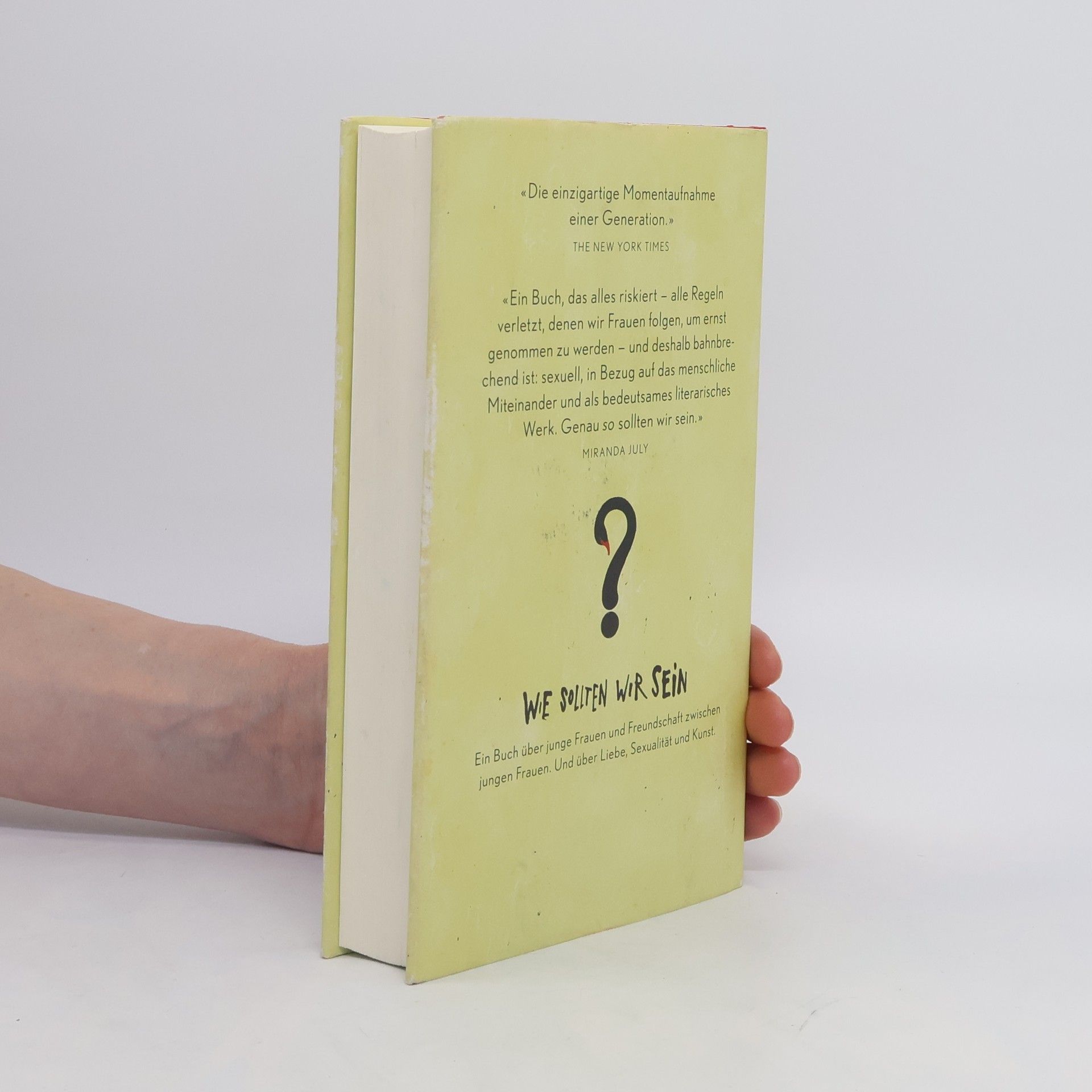 Sheila Heti Wie sollten wir sein?