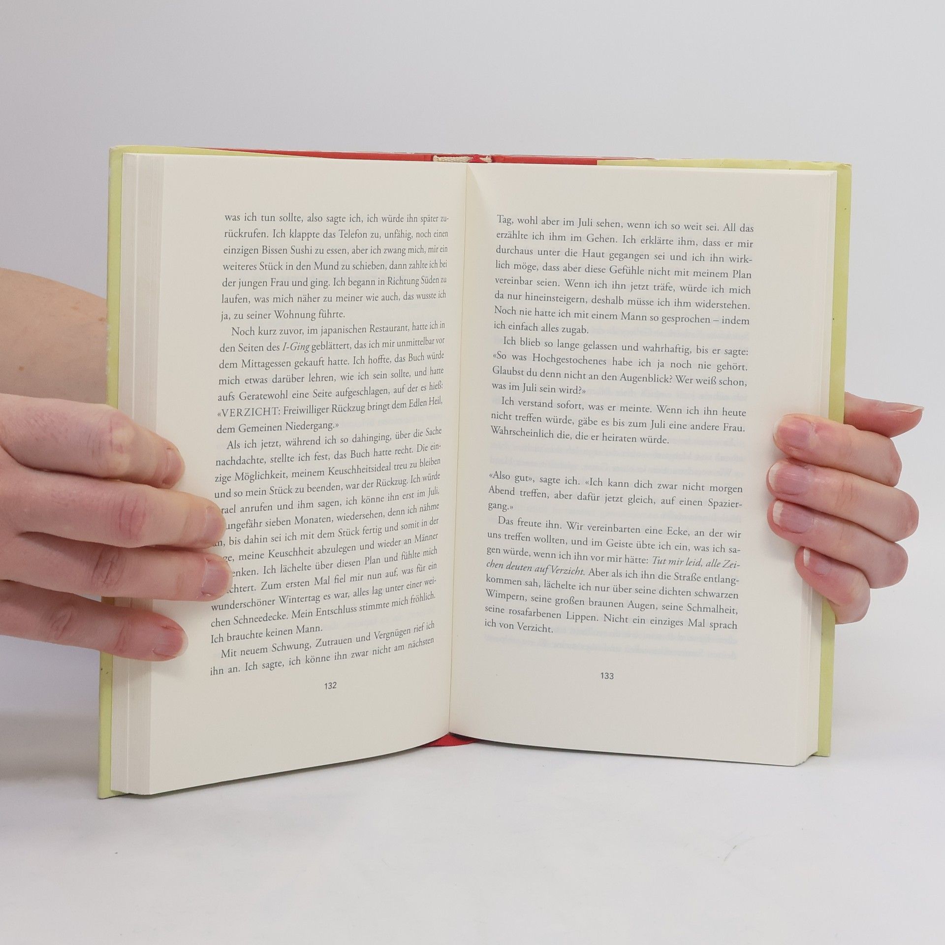Sheila Heti Wie sollten wir sein?