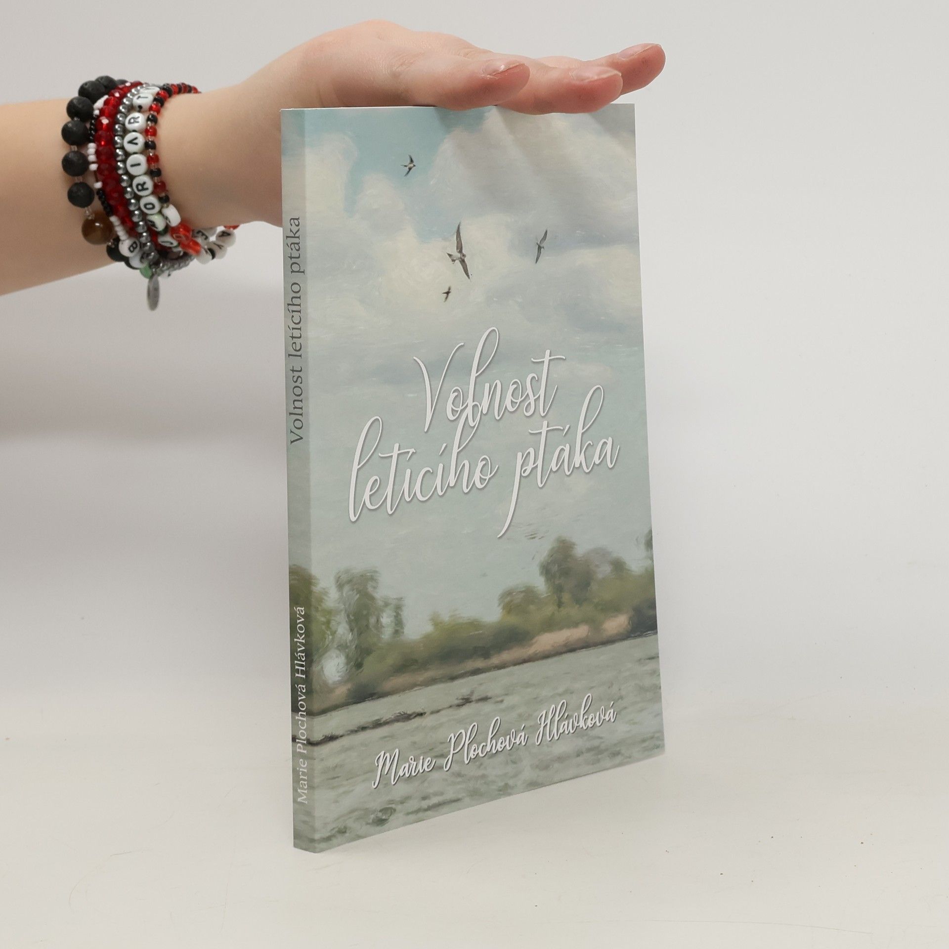 Marie Plochová Hlávková Volnost letícího ptáka