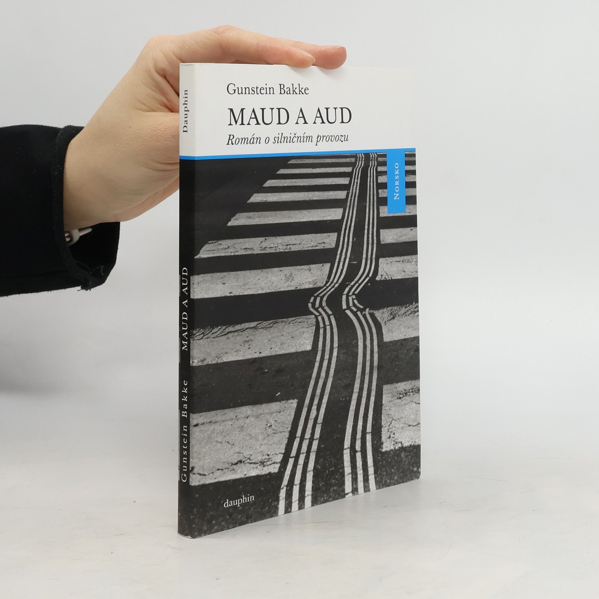 Gunstein Bakke Maud a Aud: Román o silničním provozu