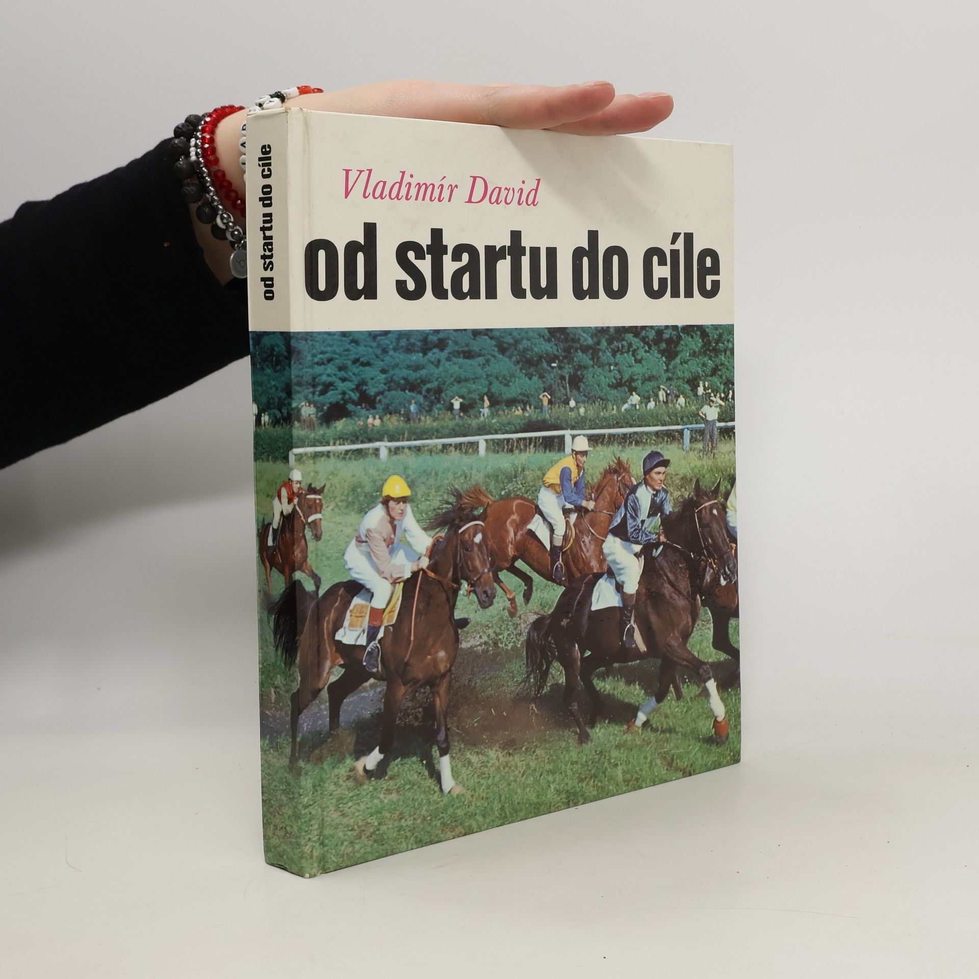 Vladimír David Od startu do cíle