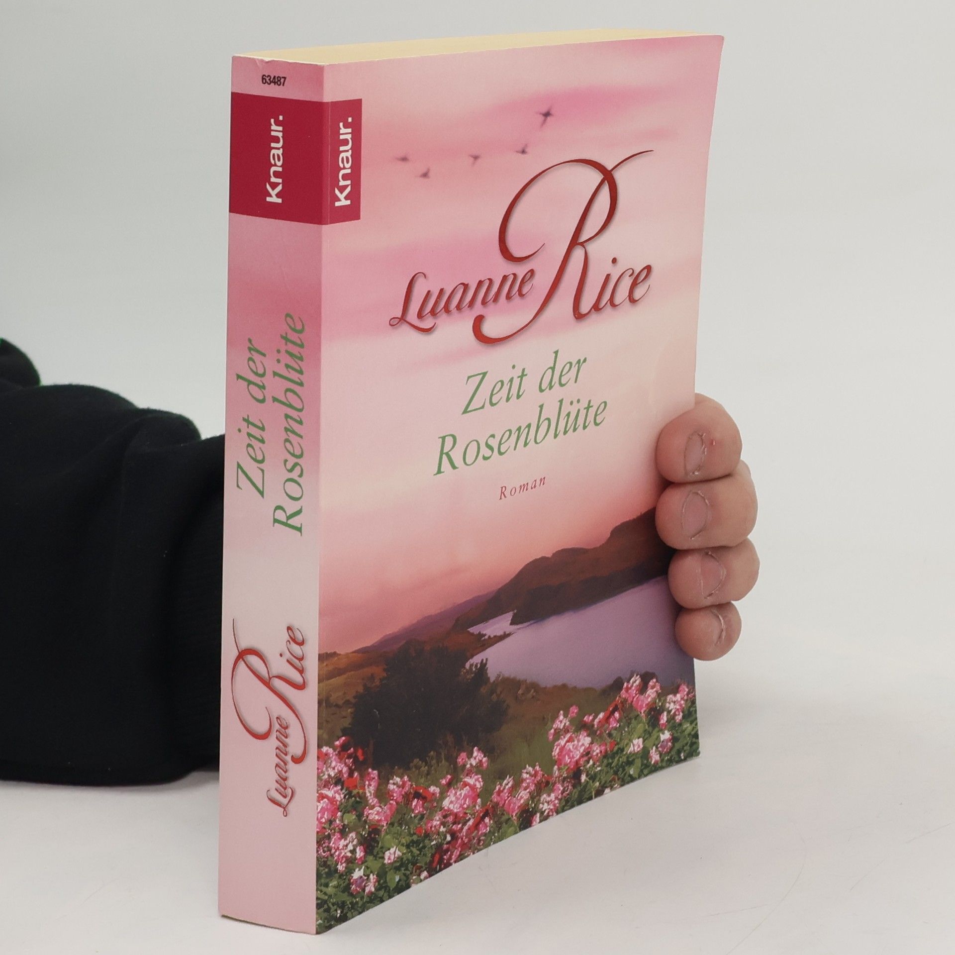 Luanne Rice Zeit der Rosenblüte
