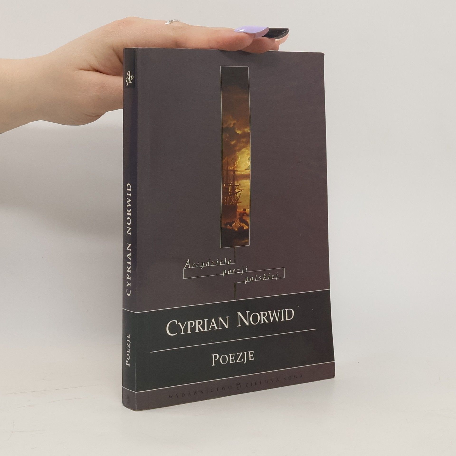 Cyprian Kamil Norwid Poezje
