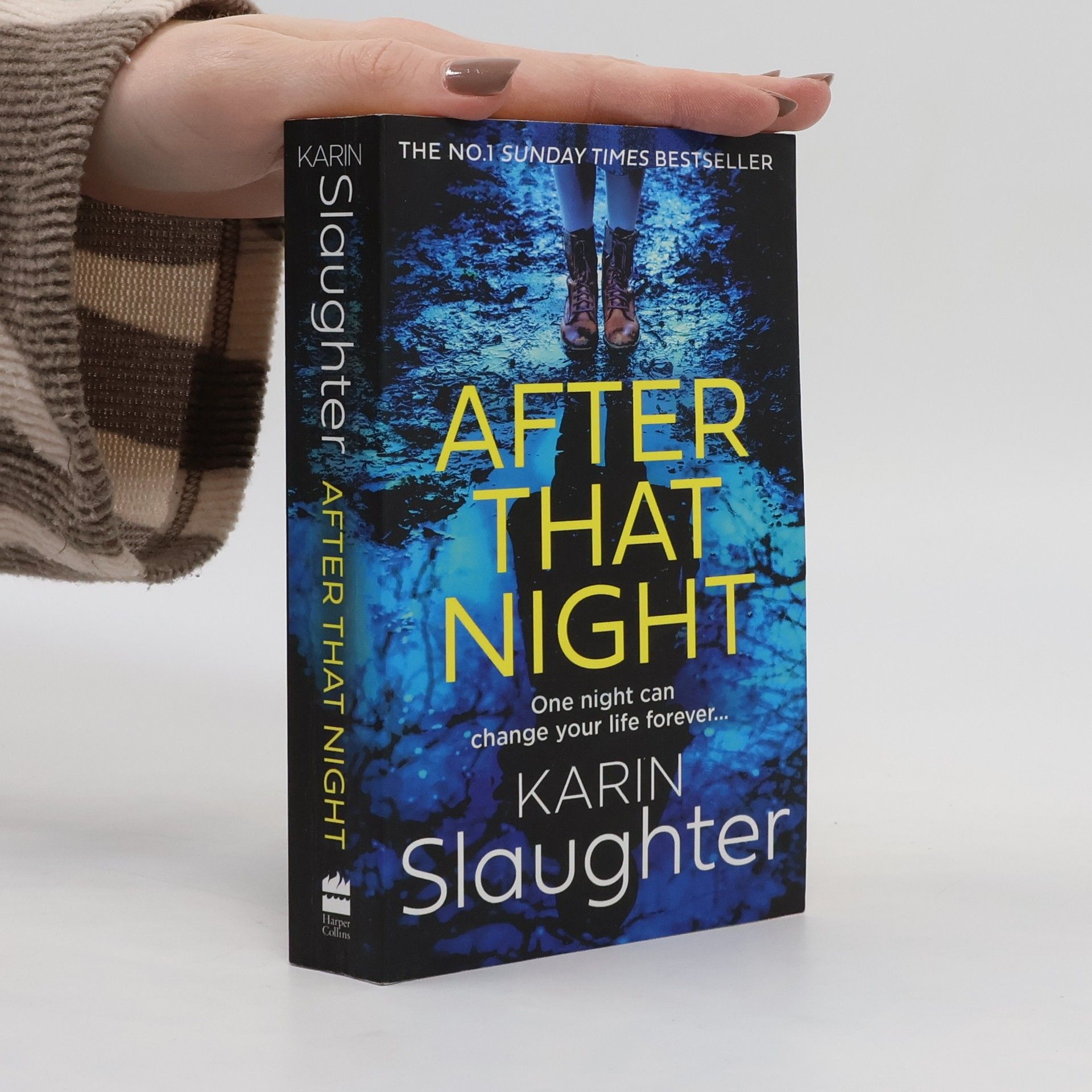 Karin Slaughter After That Night