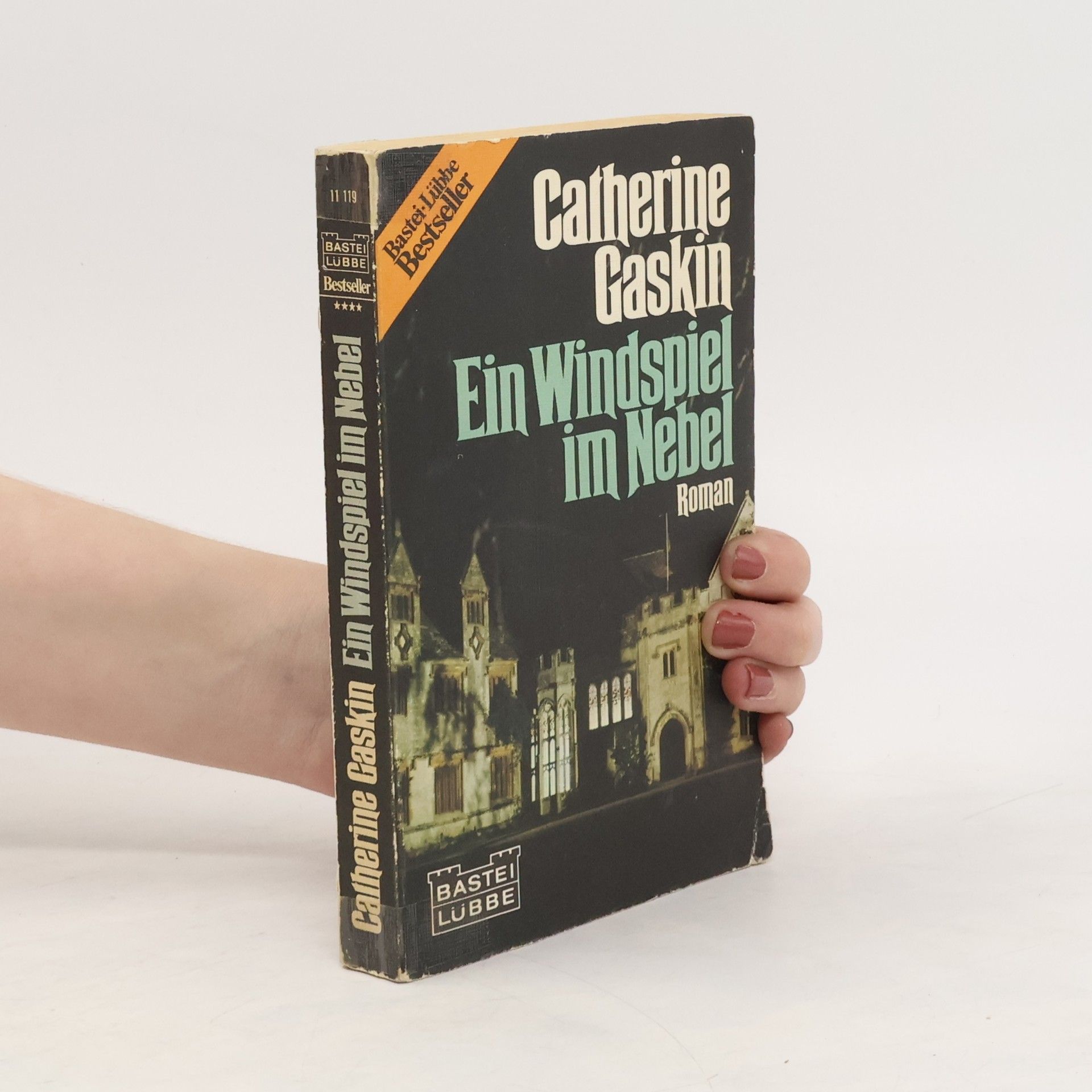 Catherine Gaskin Ein Windspiel im Nebel