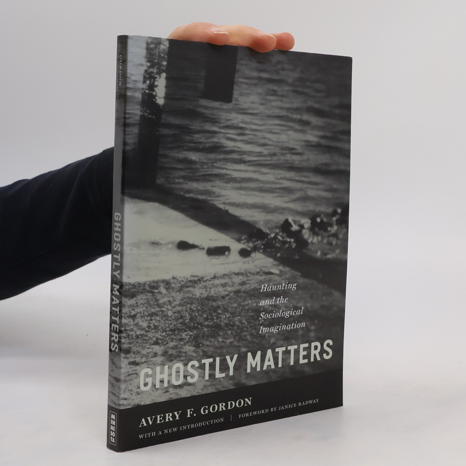 Avery F. Gordon Ghostly Matters