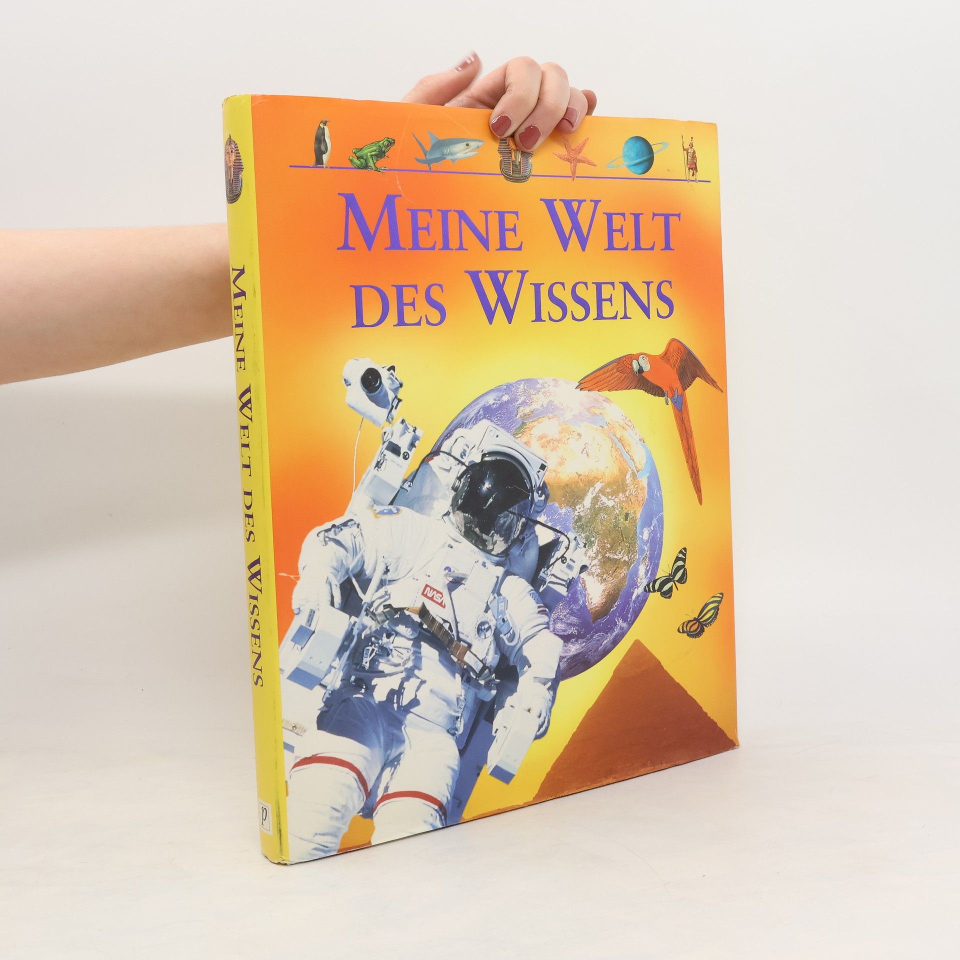 Neil Morris Meine Welt des Wissens