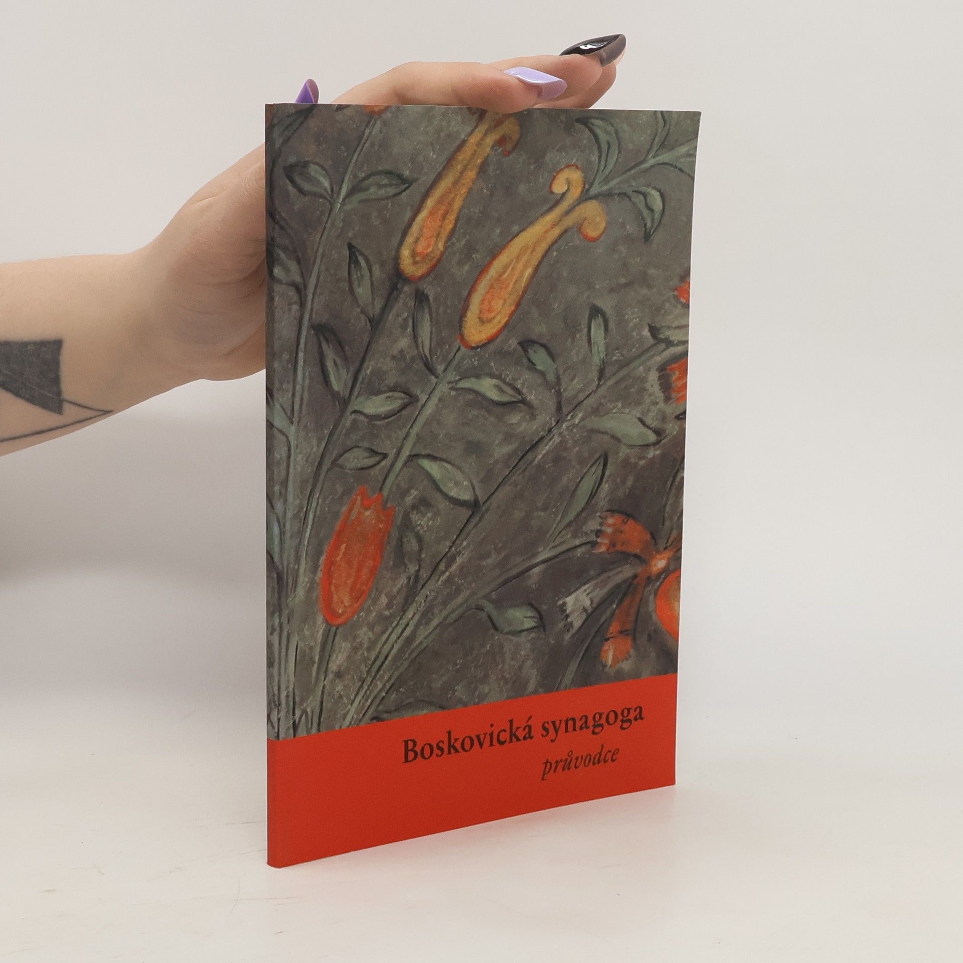 Kolektív autorov Boskovická synagoga