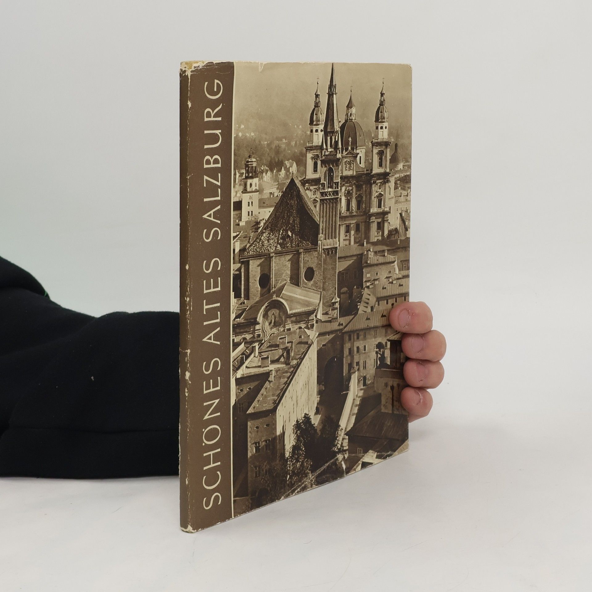 Alois Schmiedbauer Schönes altes Salzburg