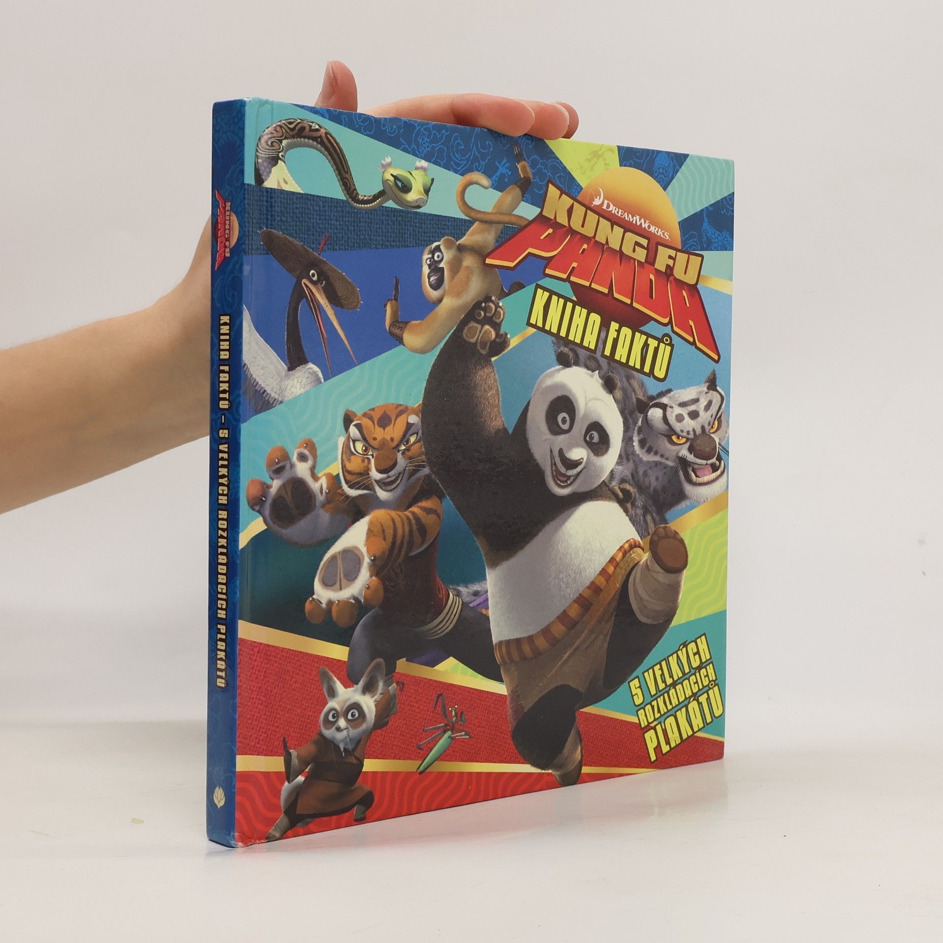 Dagmar Brejlová Kung Fu Panda : kniha faktů