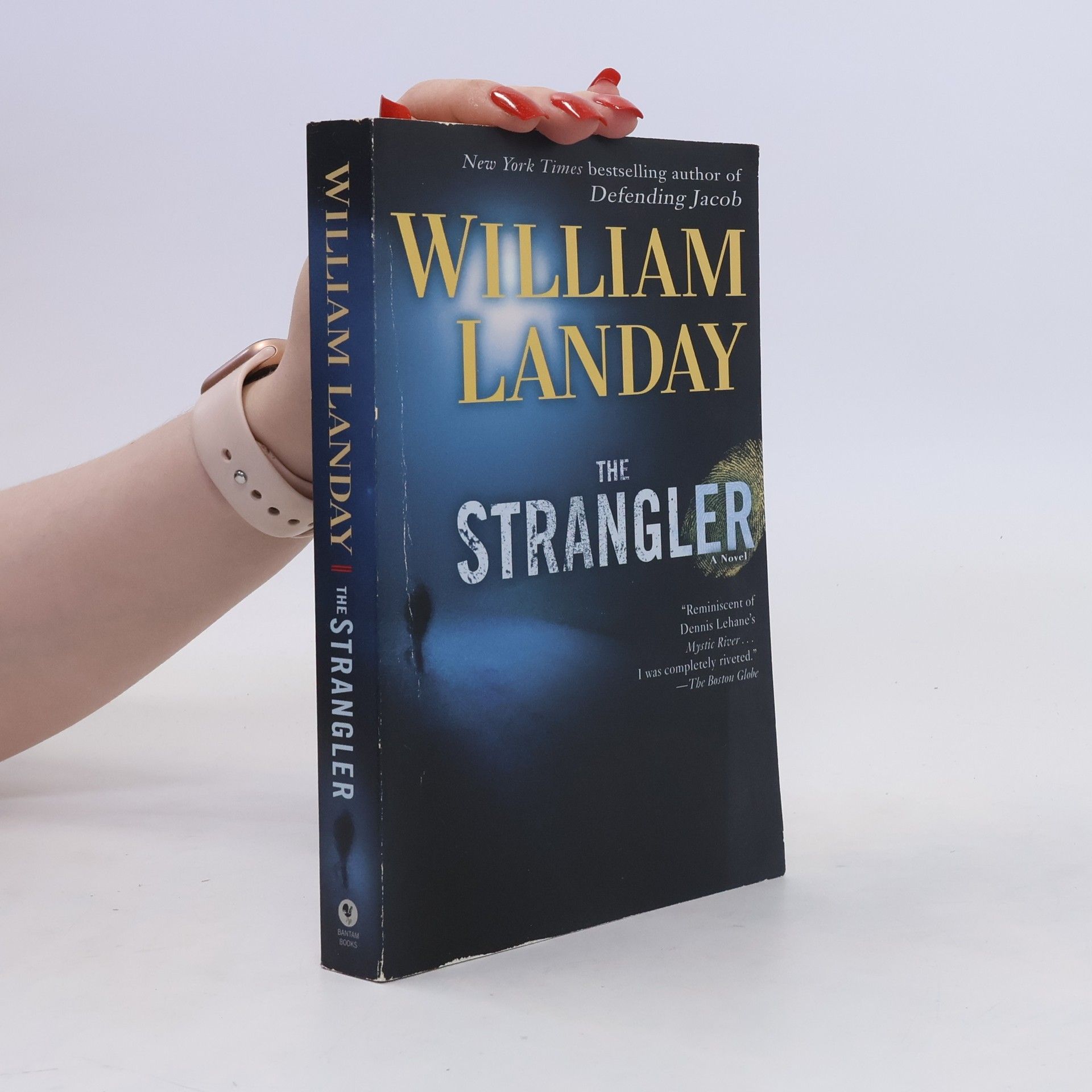 William Landay The Strangler