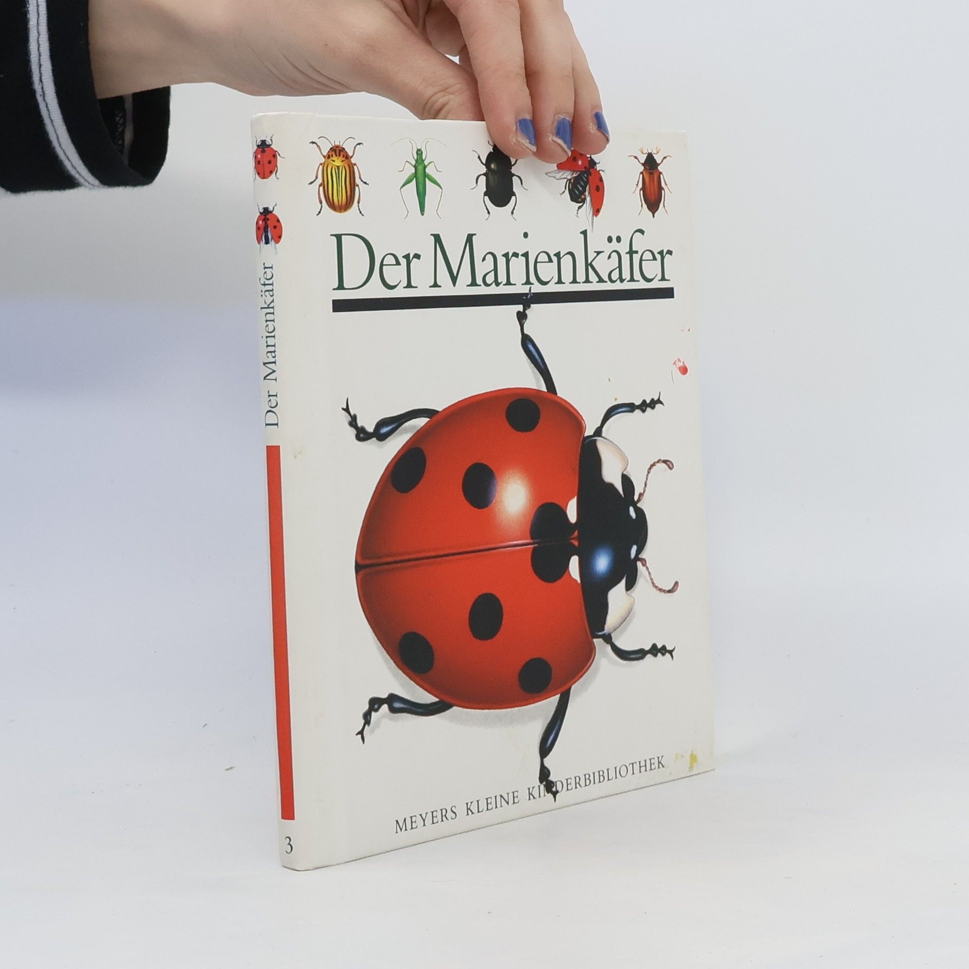 kolektiv Der Marienkäfer