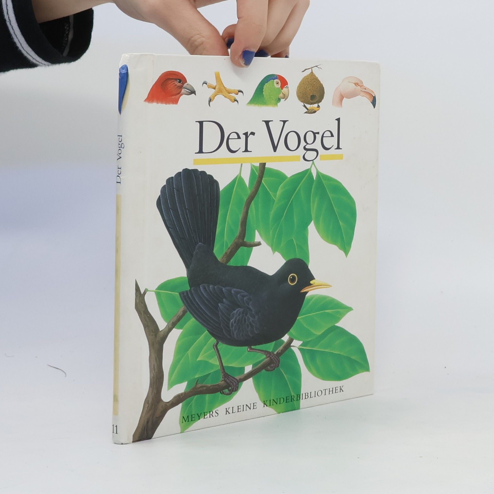 Rene Mettler Der Vogel