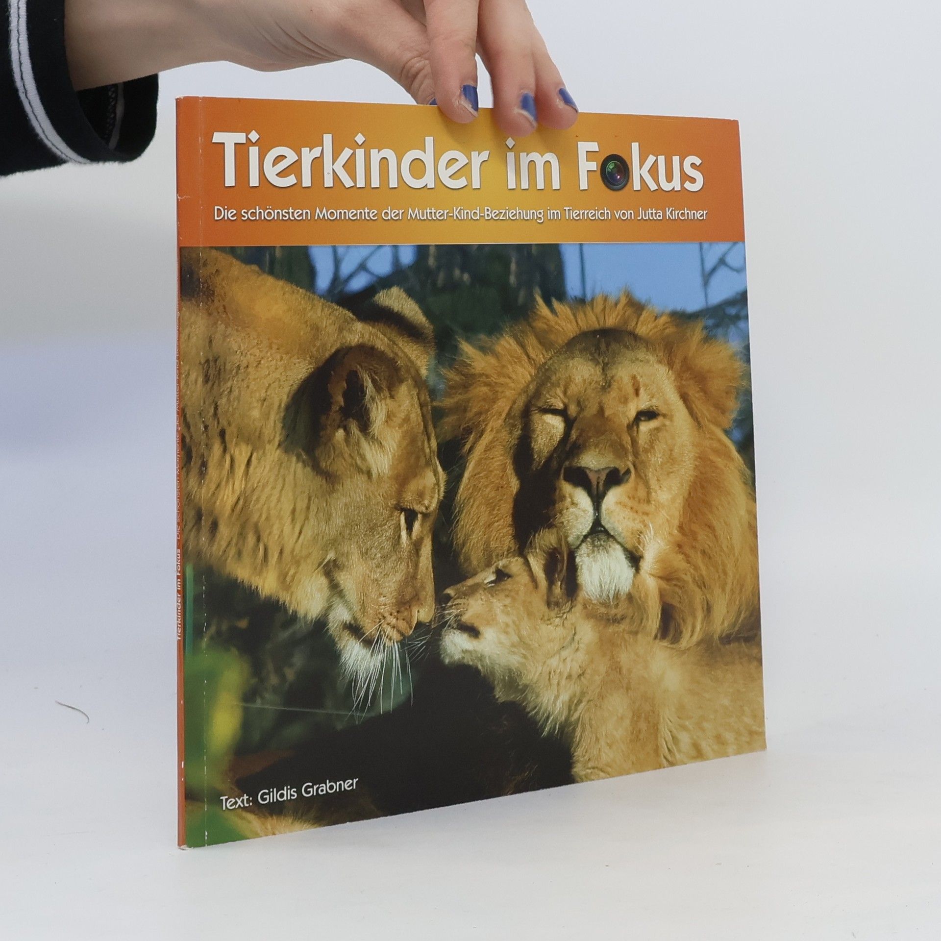 Gildis Grabner Tierkinder im Fokus