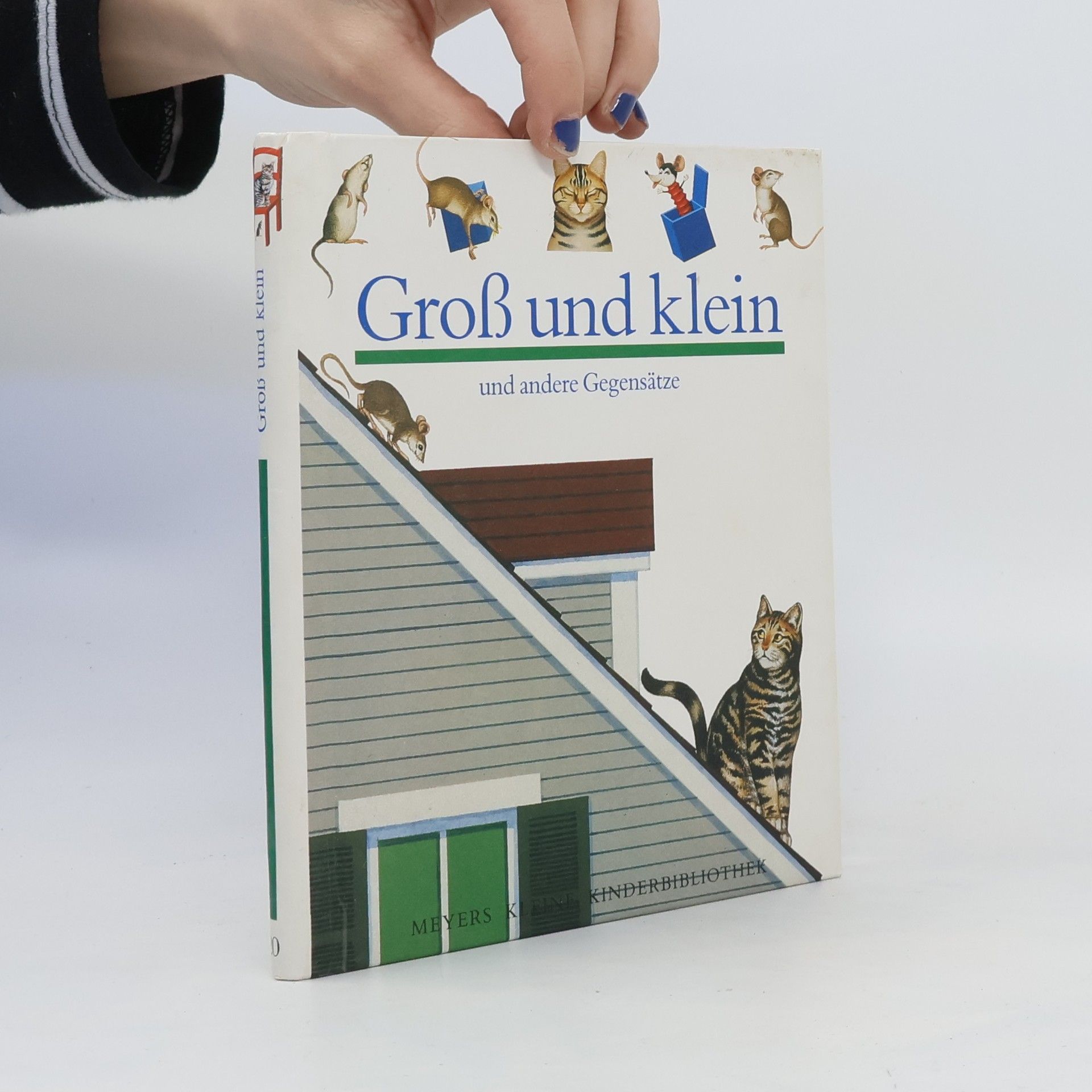 Henri Galeron Gross und klein und andere Gegensätze
