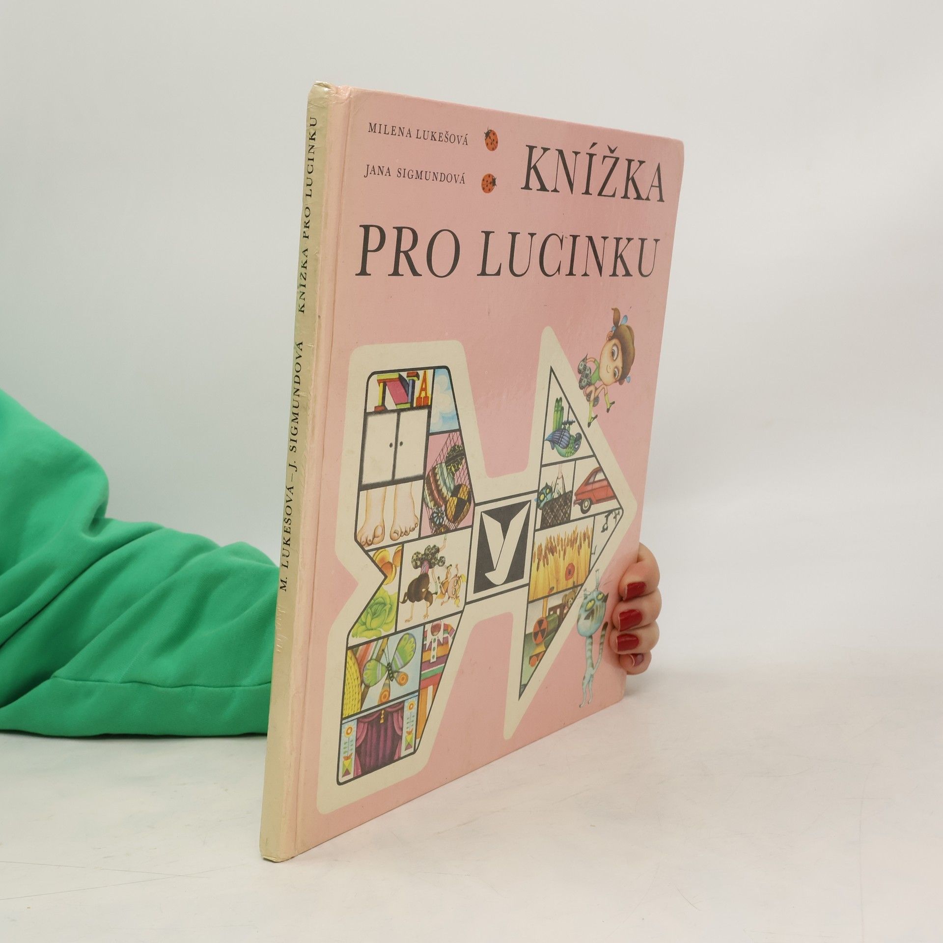 Jana Sigmundová Knížka pro Lucinku