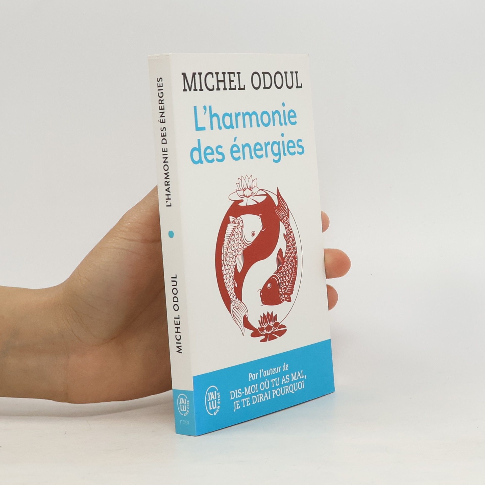 Michel Odoul L'harmonie des énergies