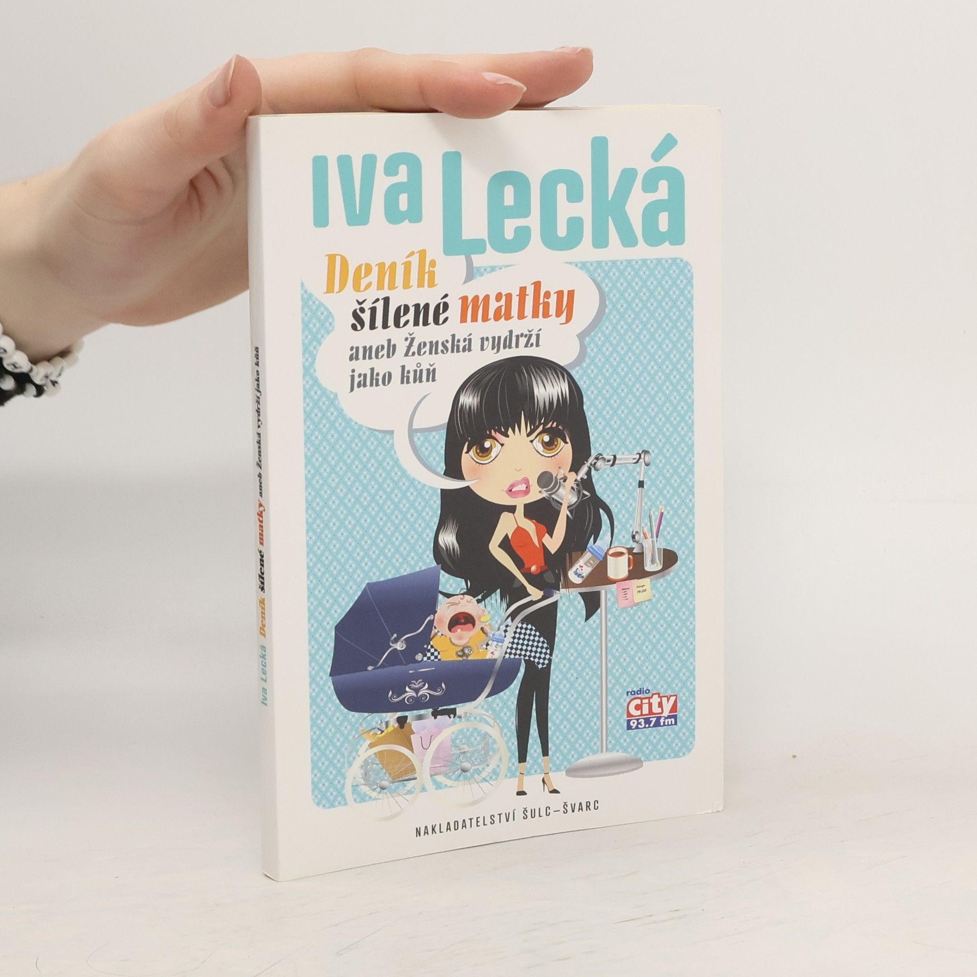 Iva Lecká Deník šílené matky