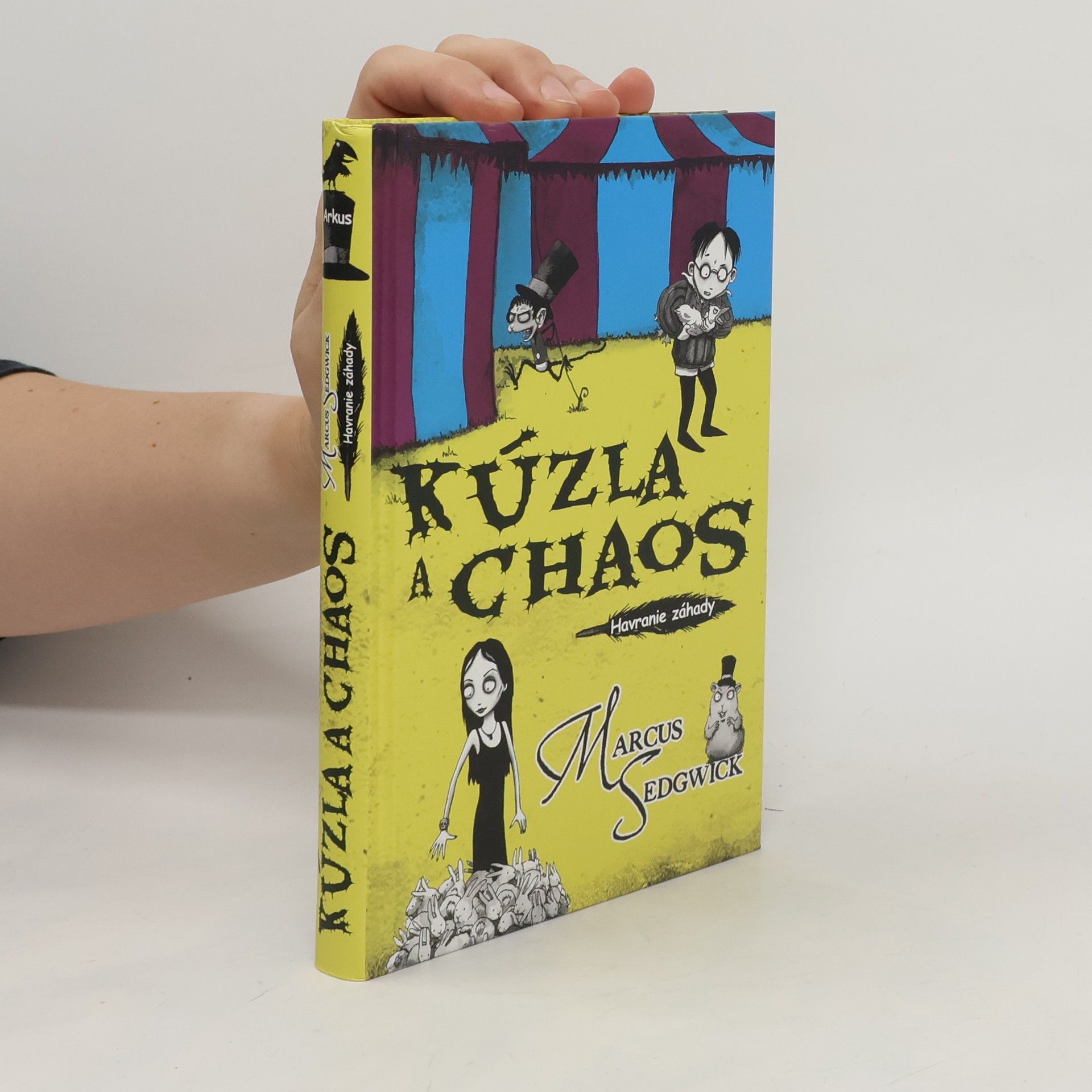 Marcus Sedgwick Kúzla a chaos: Havranie záhady