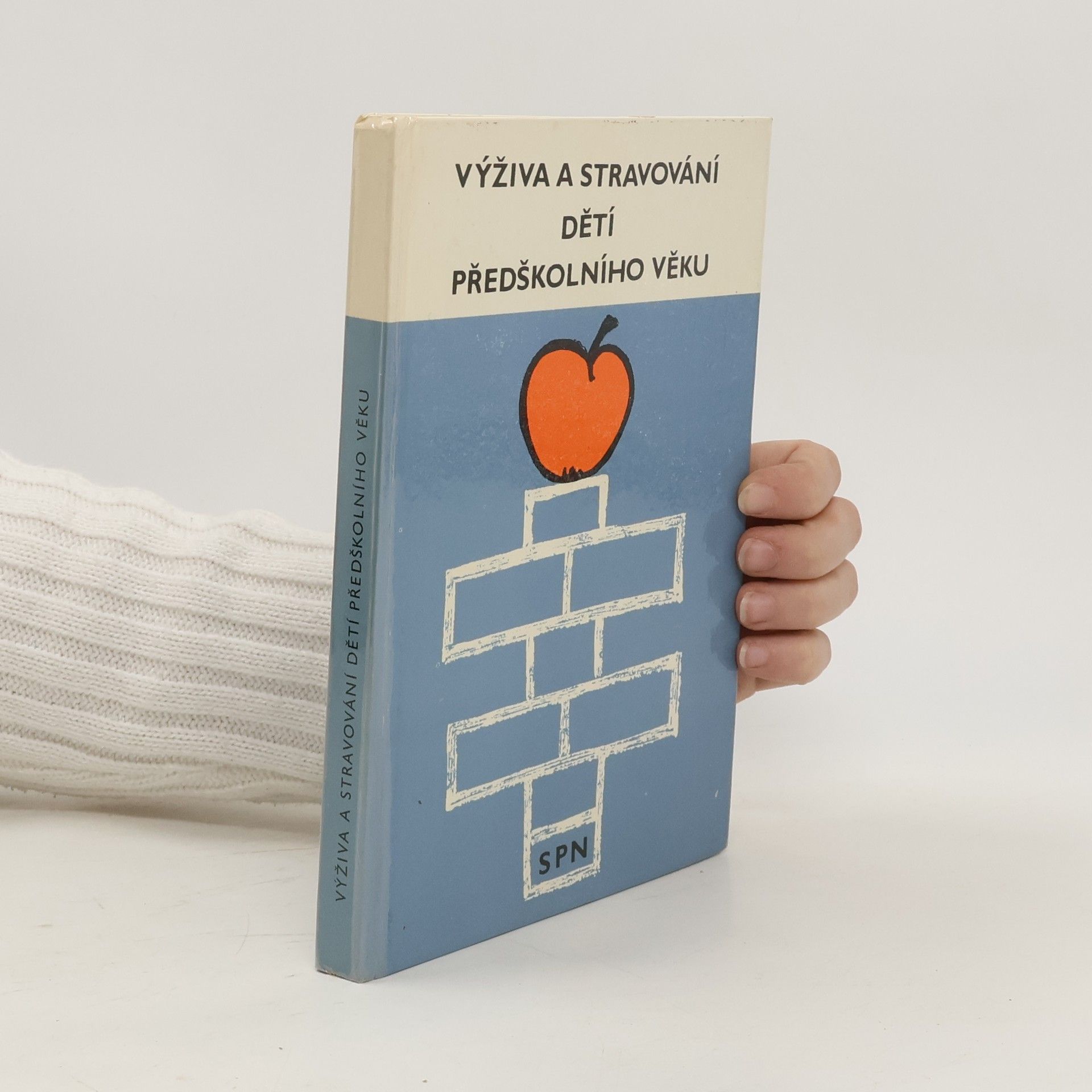 Autorenkollektiv Výživa a stravování dětí předškolního věku