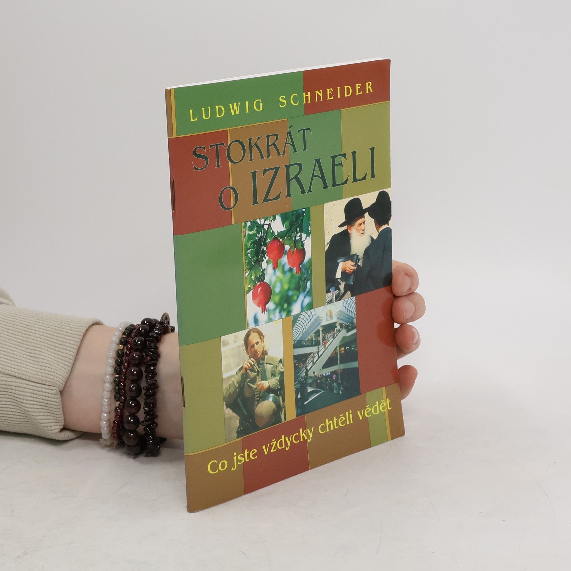 Ludwig Schneider Stokrát o Izraeli