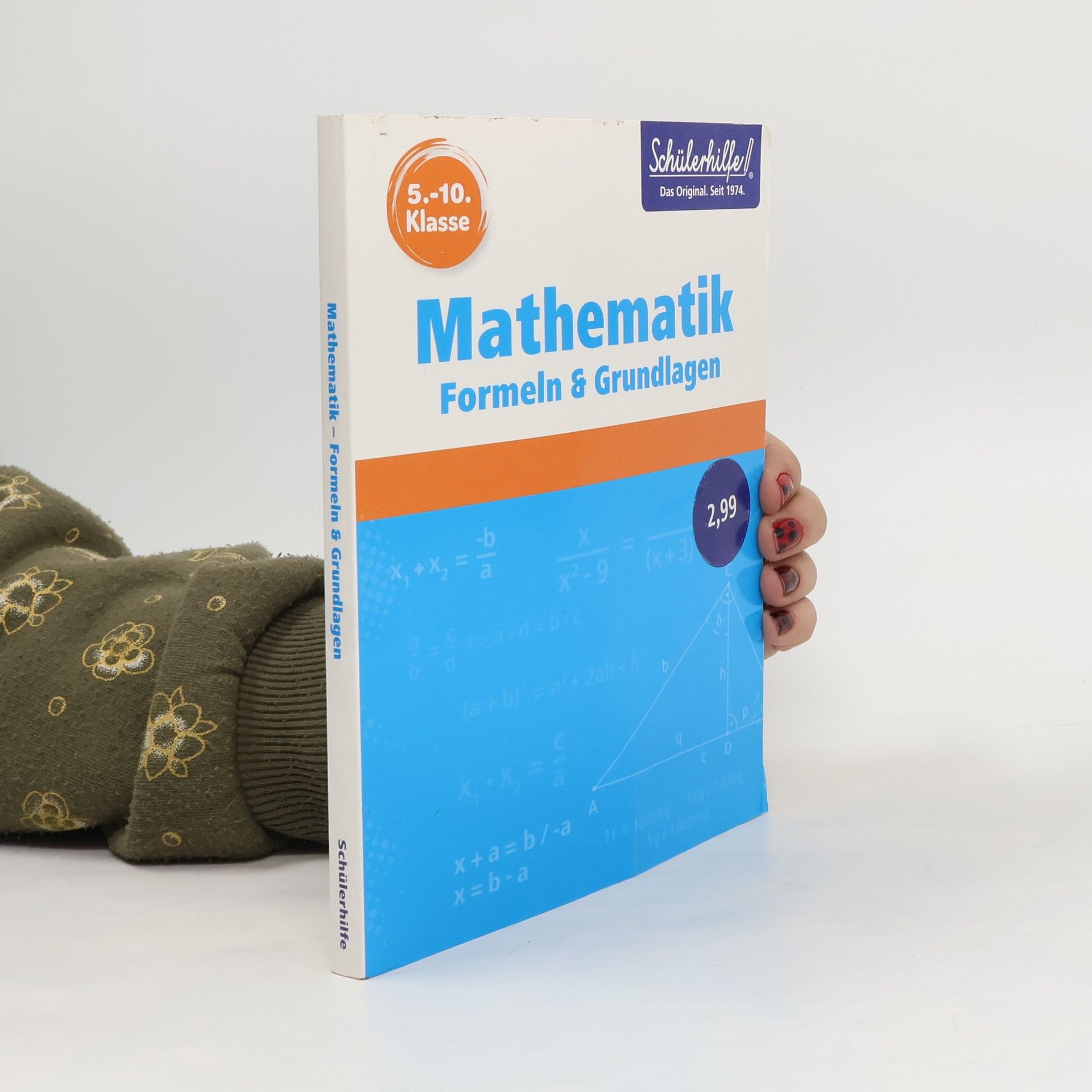 Britta Lambers-Awiszus Mathematik: Formeln und Grundlagen, Klasse 5.-10.