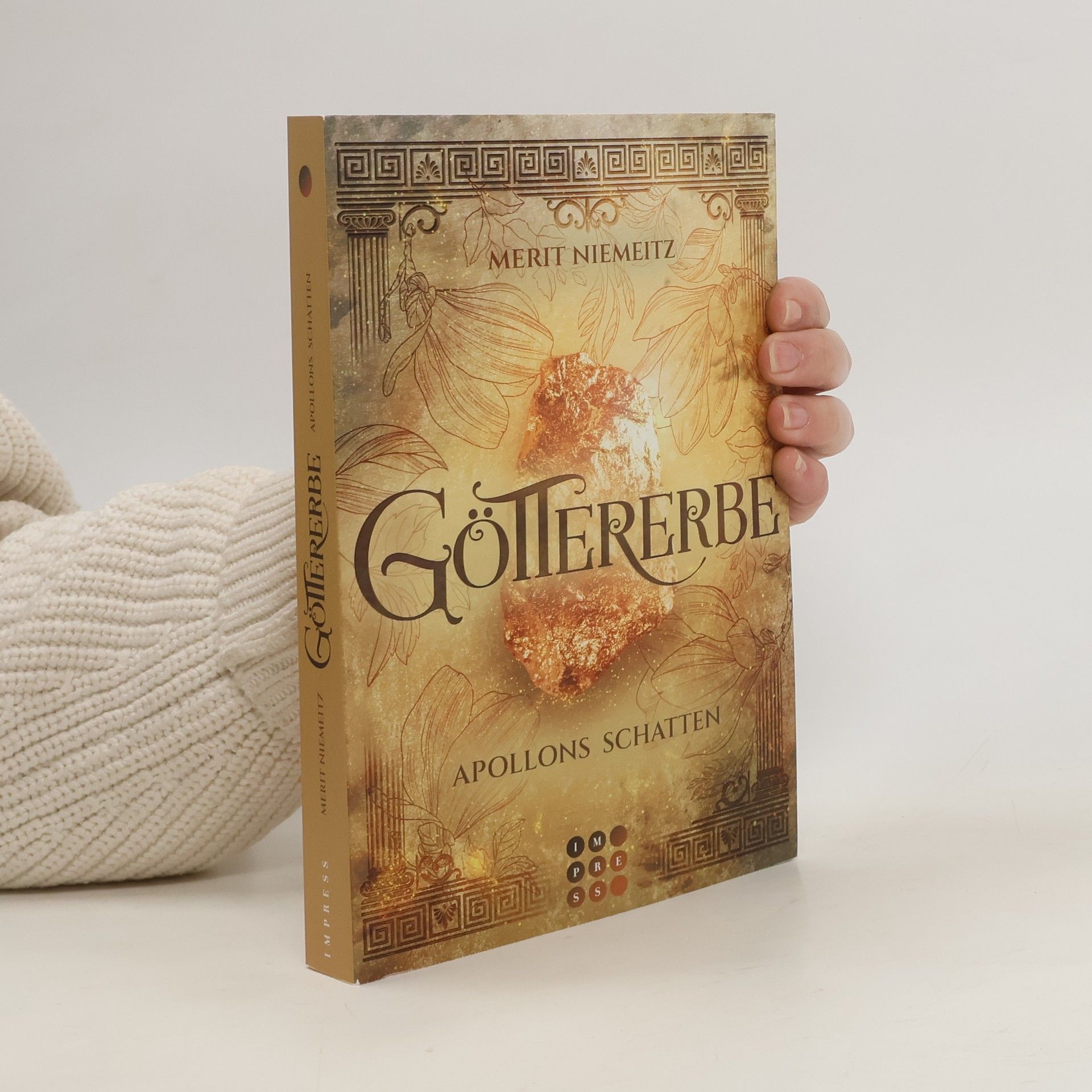 Merit Niemeitz Göttererbe 1: Apollons Schatten