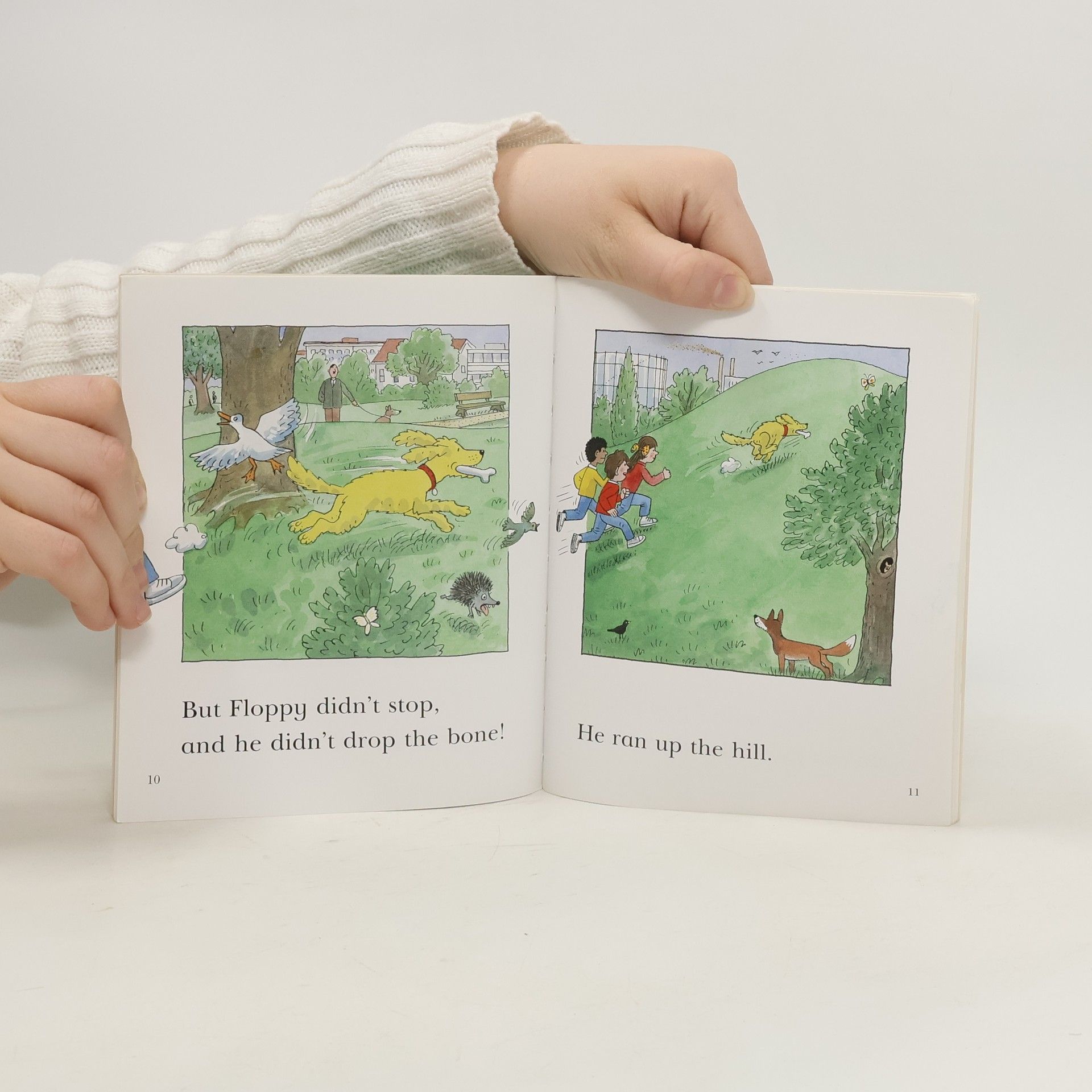 Cynthia Rider Floppy and the Bone