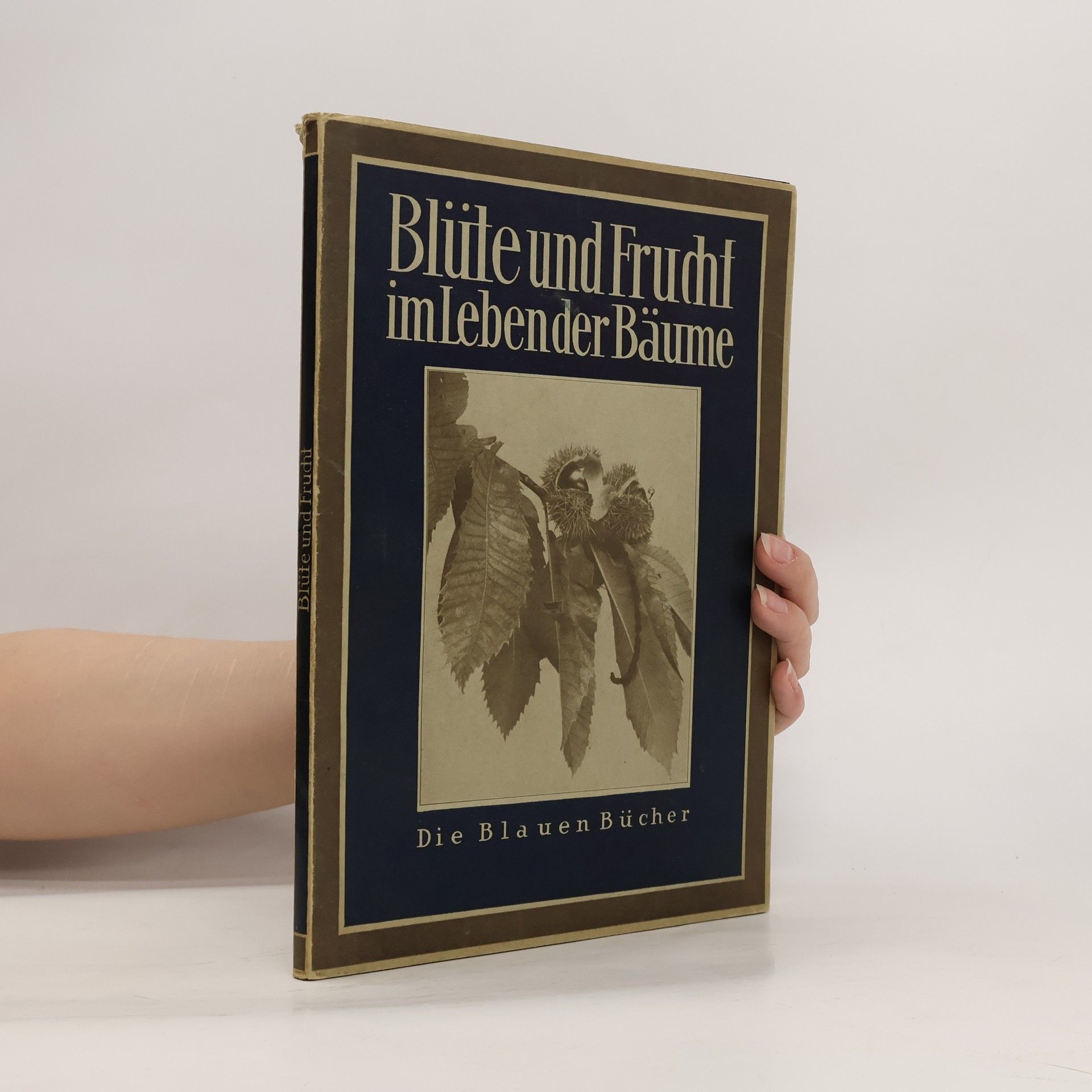 Karl Otto Bartels Blüte und Frucht im Leben der Bäume
