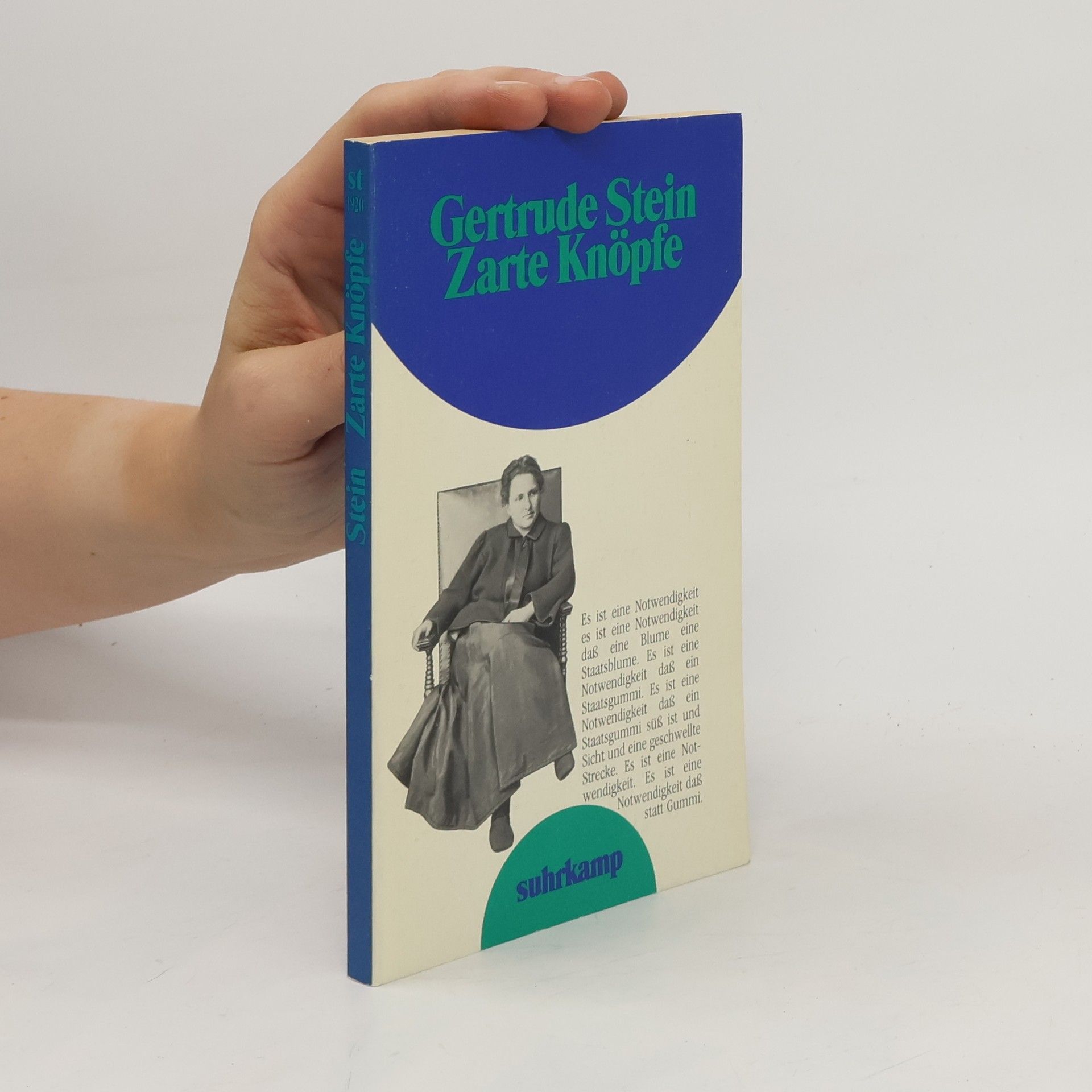 Gertrude Stein Zarte Knöpfe