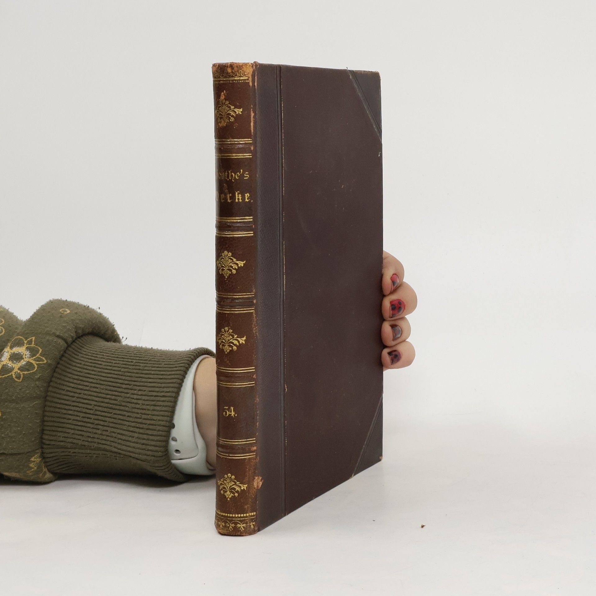 Johann Wolfgang von Goethe Goethes Werke. Band 34
