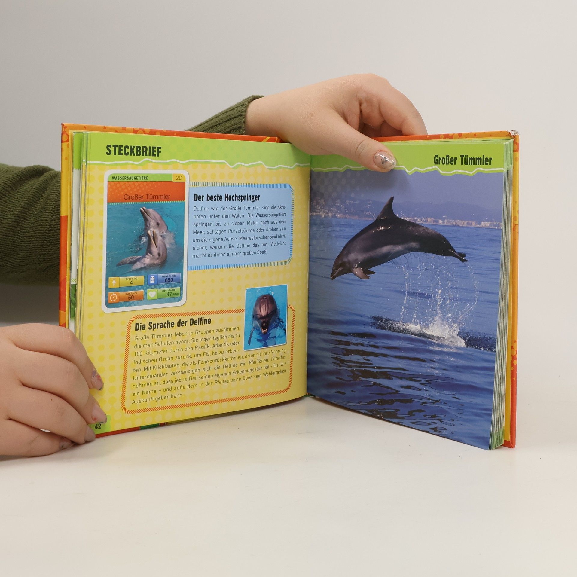 kolektiv Quartettbuch Tierrekorde