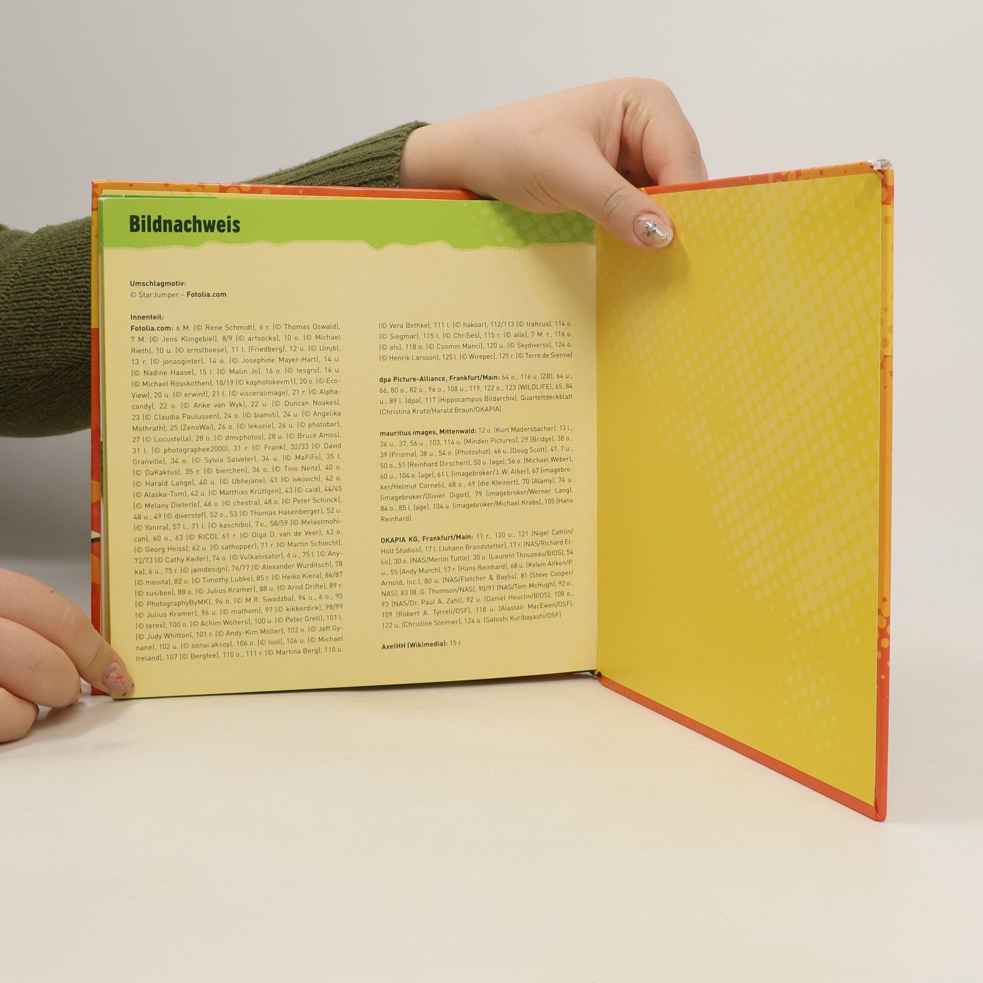 kolektiv Quartettbuch Tierrekorde
