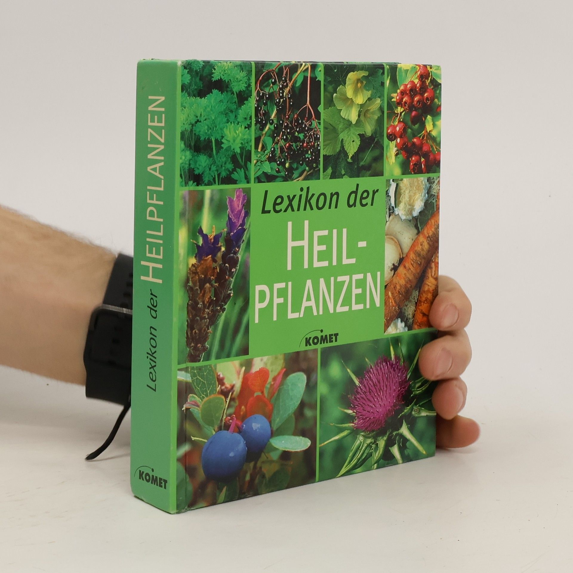 Iris Schmidt Lexikon der Heilpflanzen