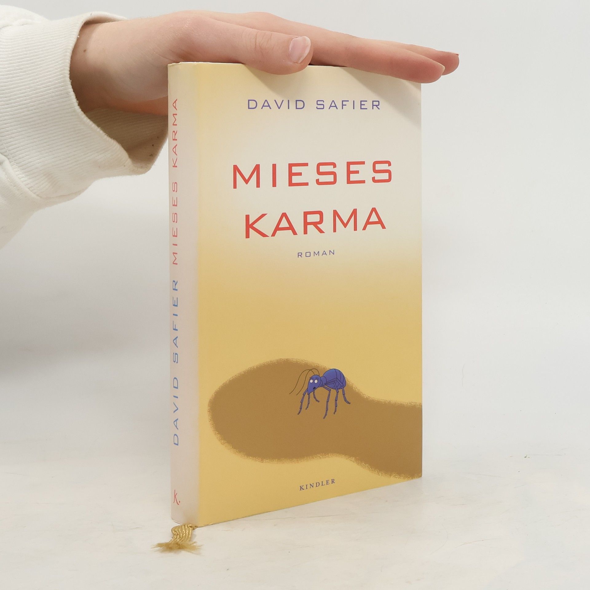 David Safier Mieses Karma