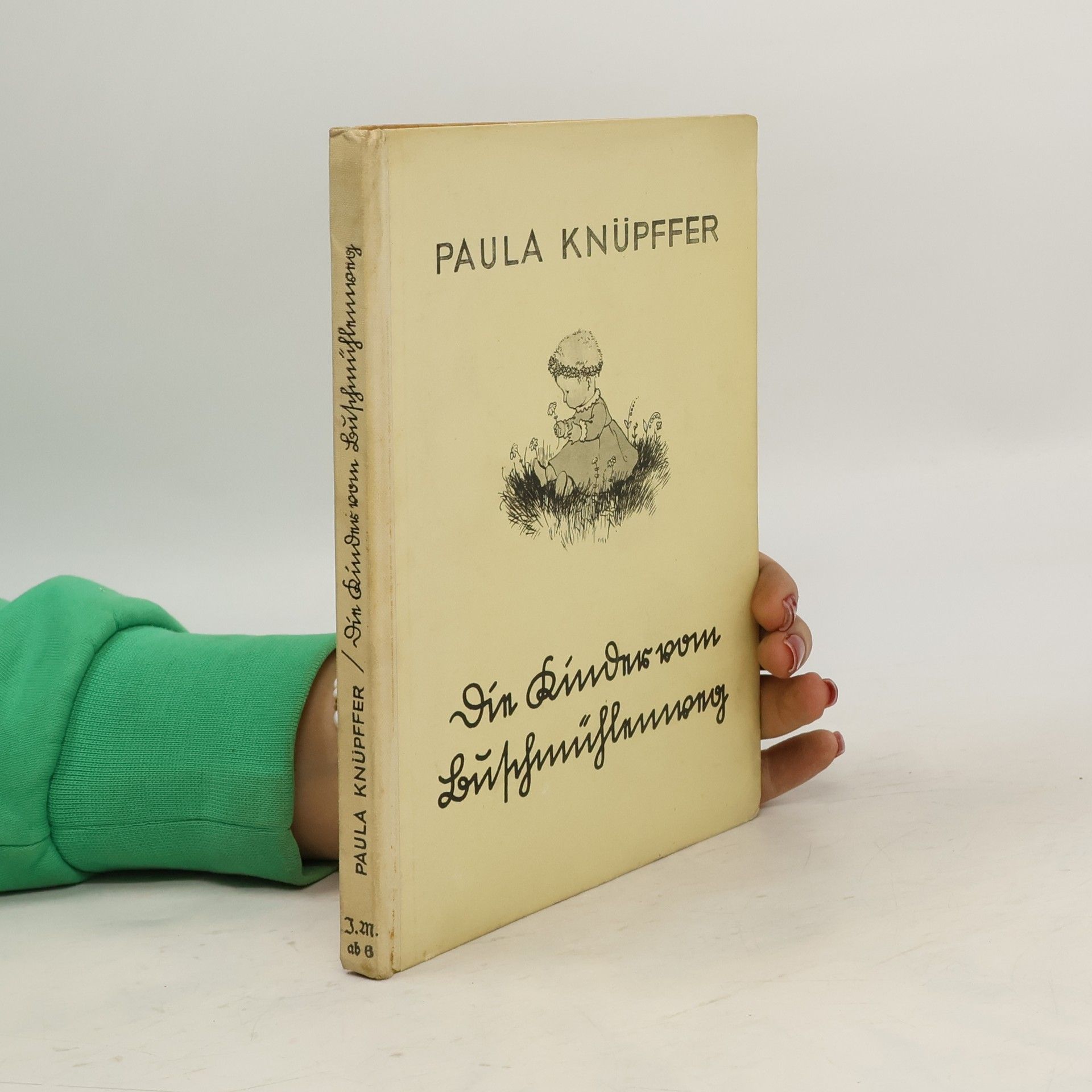 Paula Knüpffer Die Kinder vom Buschmühlenweg