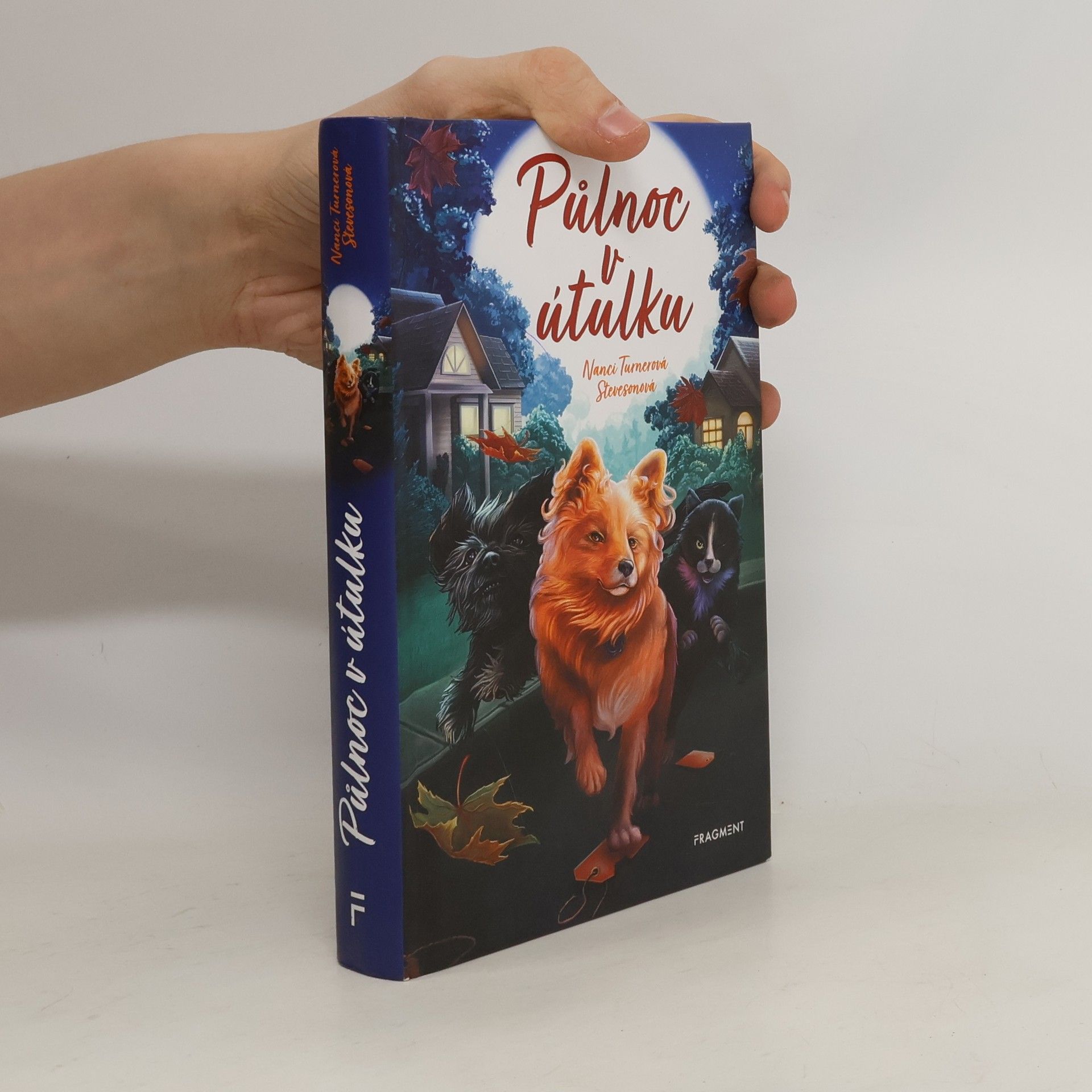 Alžběta Kalinová Půlnoc v útulku