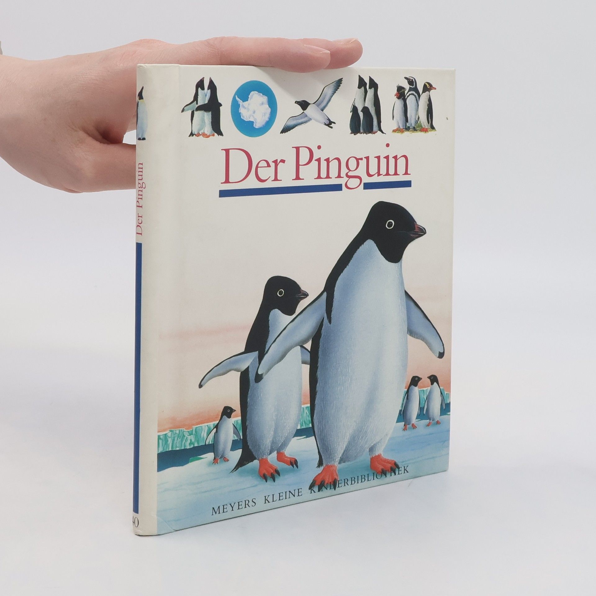 René Mettler Der Pinguin