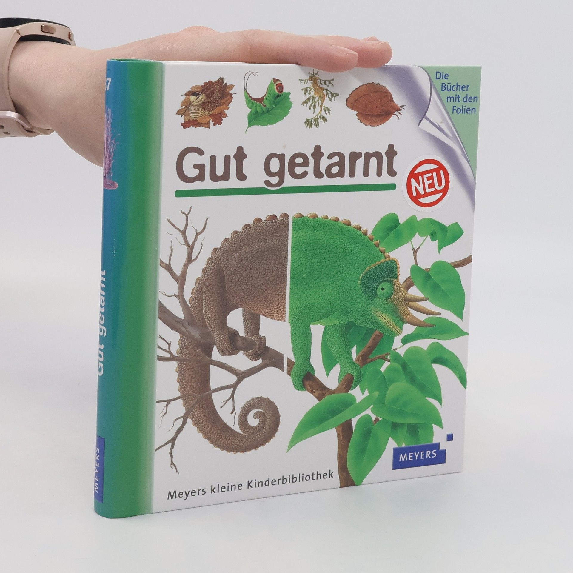 René Mettler Gut getarnt