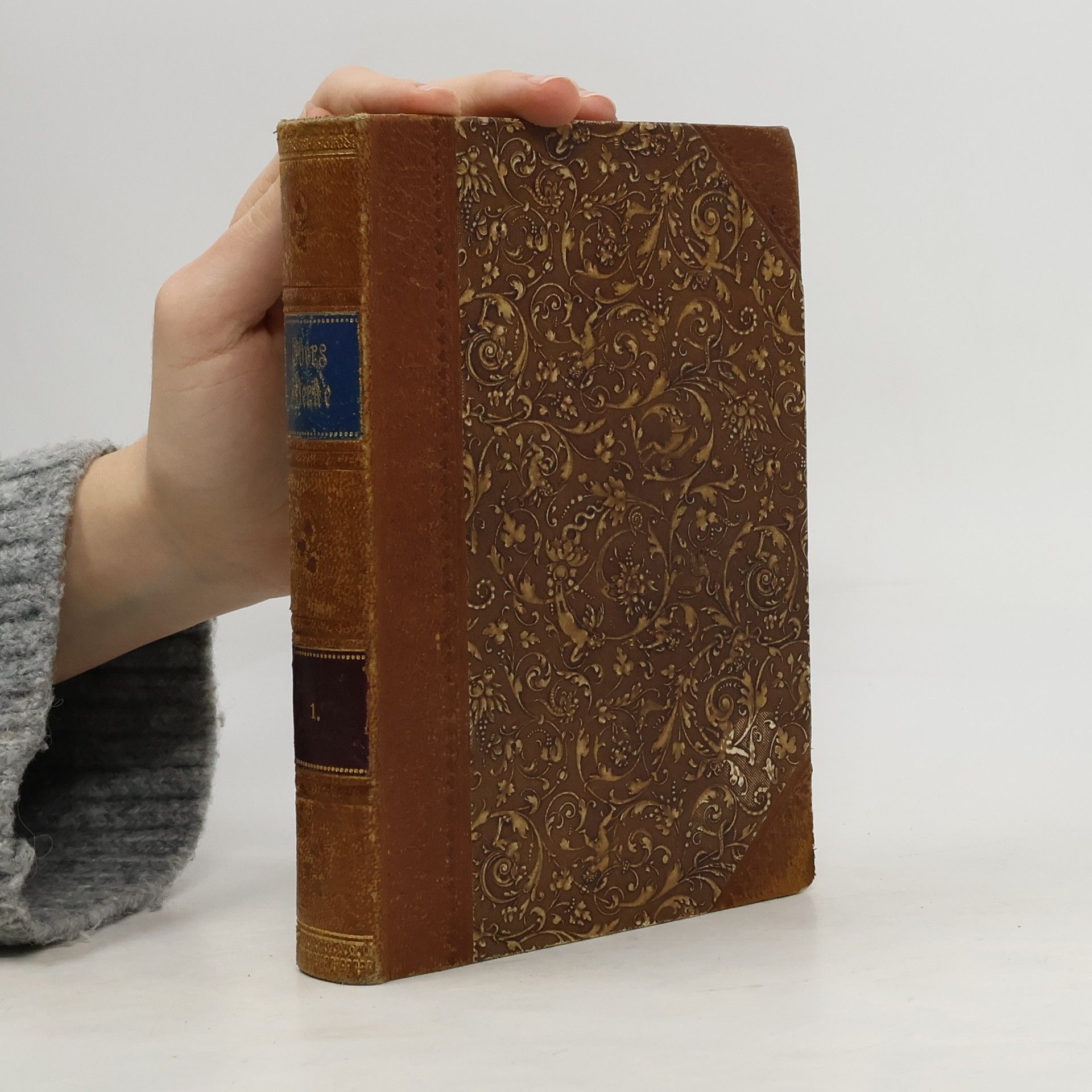 Georg Ebers Eine aegyptische Königstochter