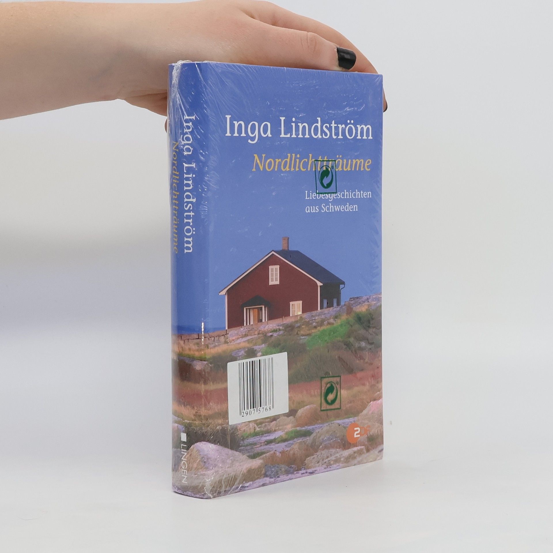 Inga Lindström Nordlichtträume